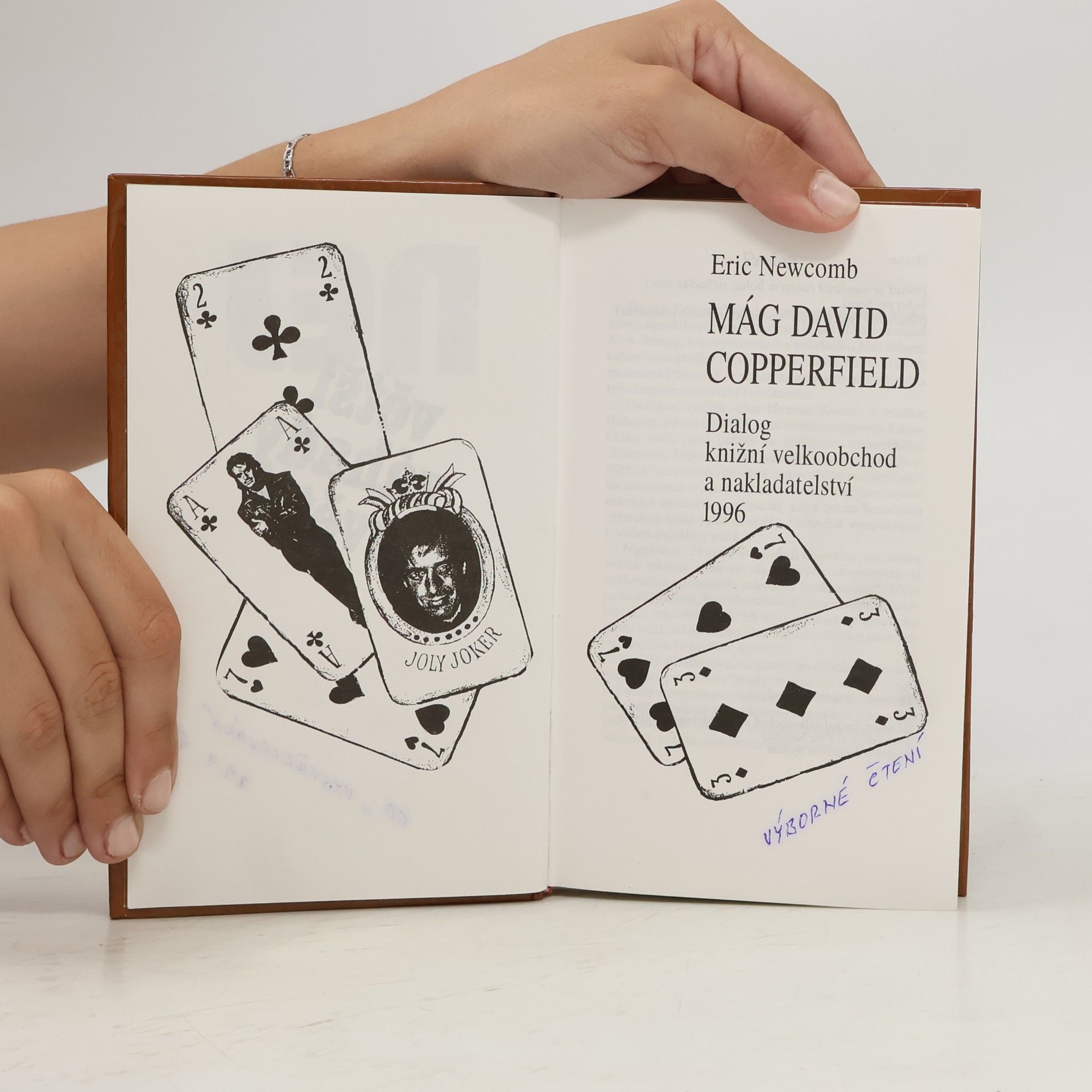 Eric Newcomb Největší záhady světa. Mág David Copperfield