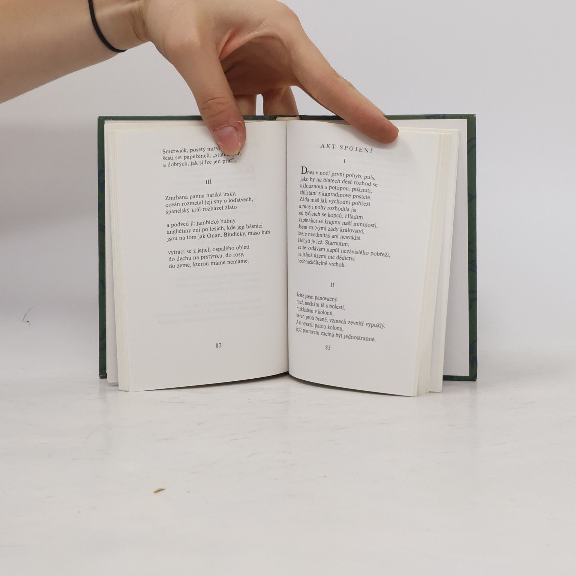 Seamus Heaney Přezimování pod širým nebem