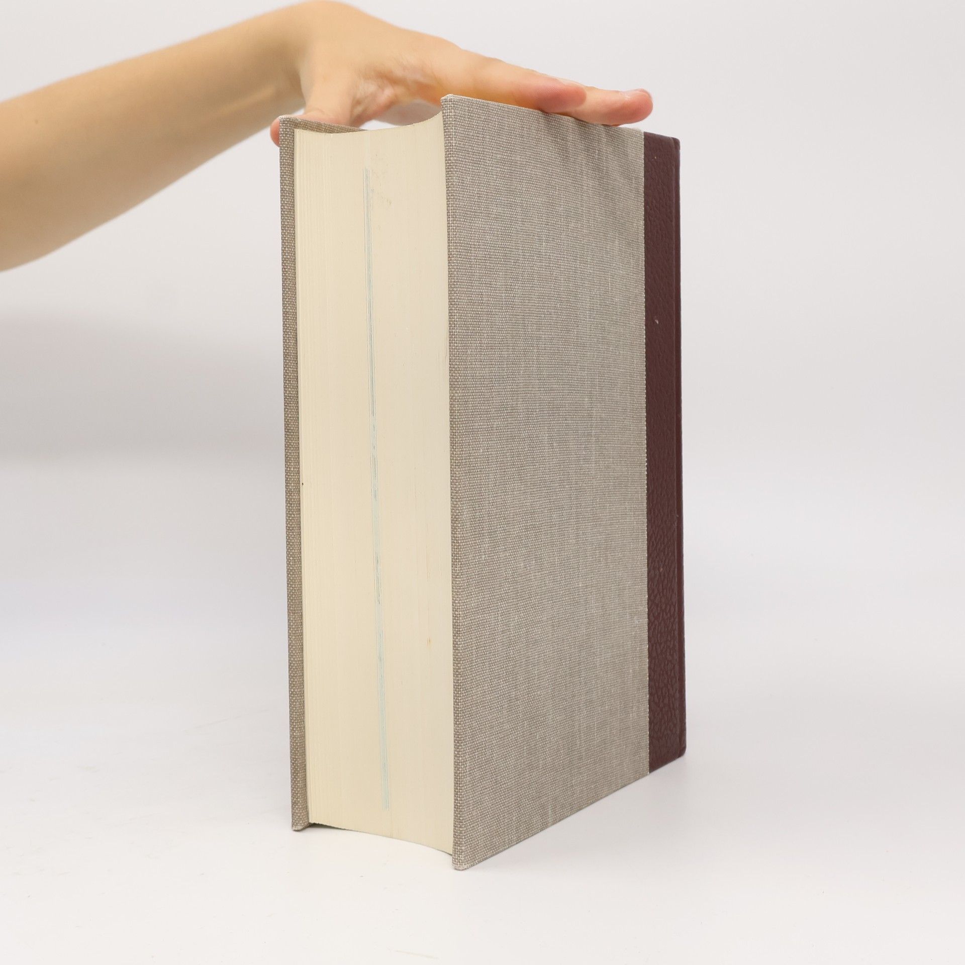 Collectif d'auteurs Meyers Enzyklopadisches Lexikon. Band 1