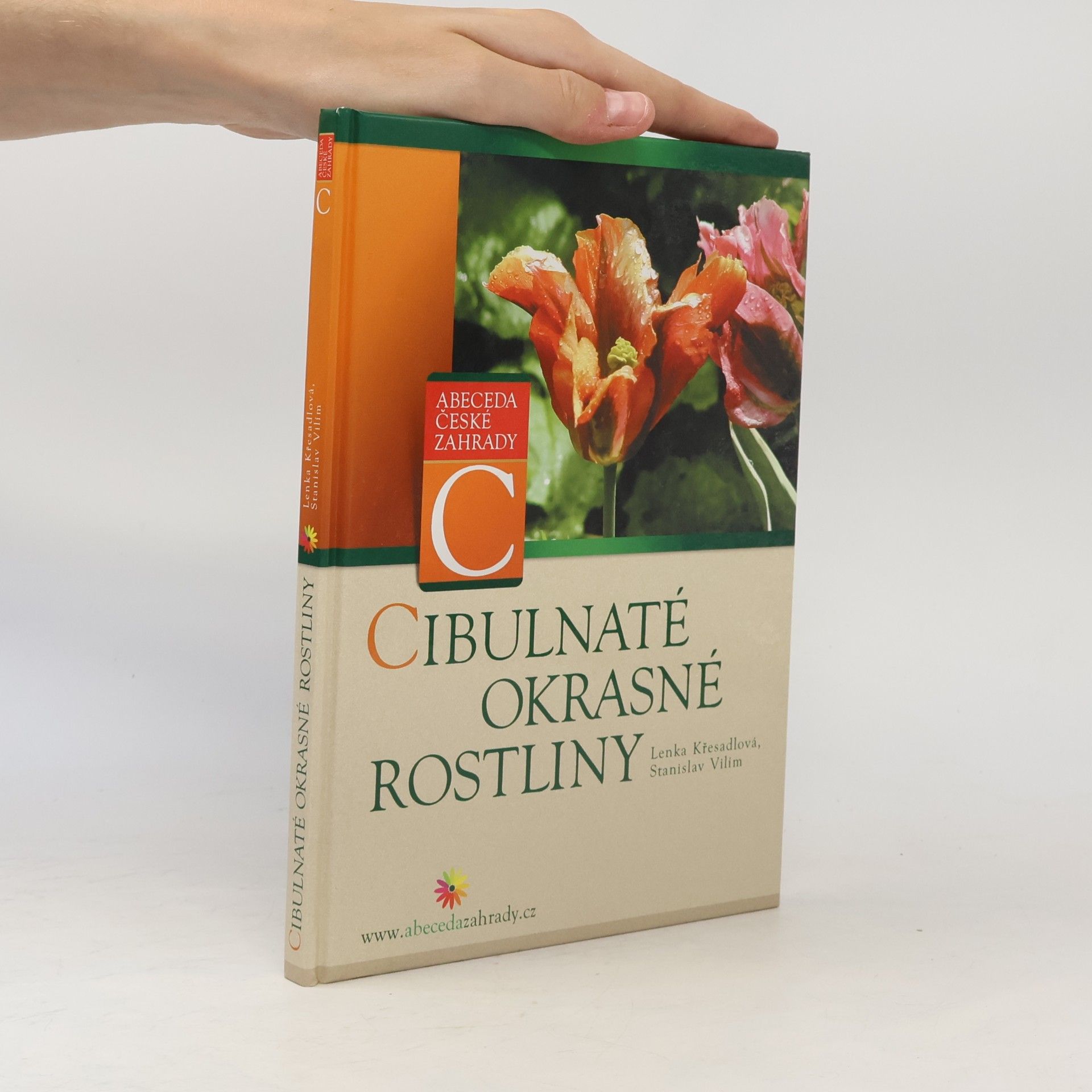 Cibulnaté okrasné rostliny
