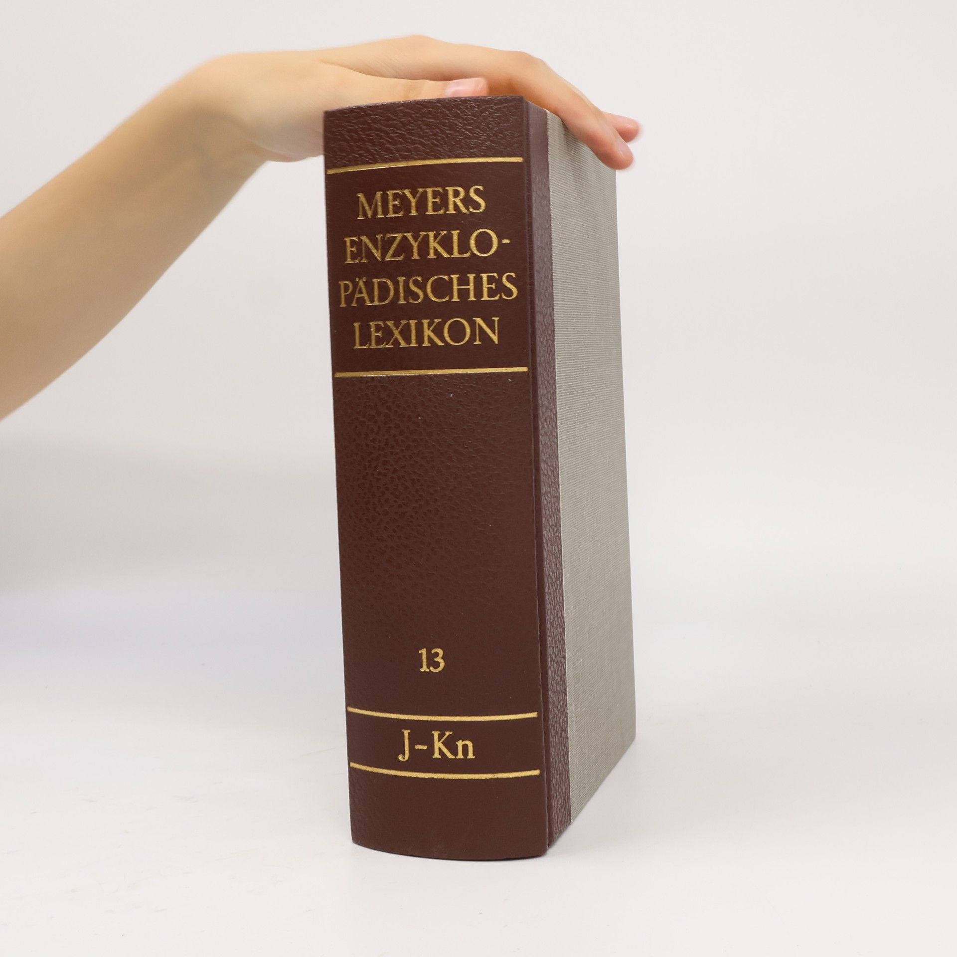 AA.VV. Meyers Enzyklopädisches Lexikon 13.