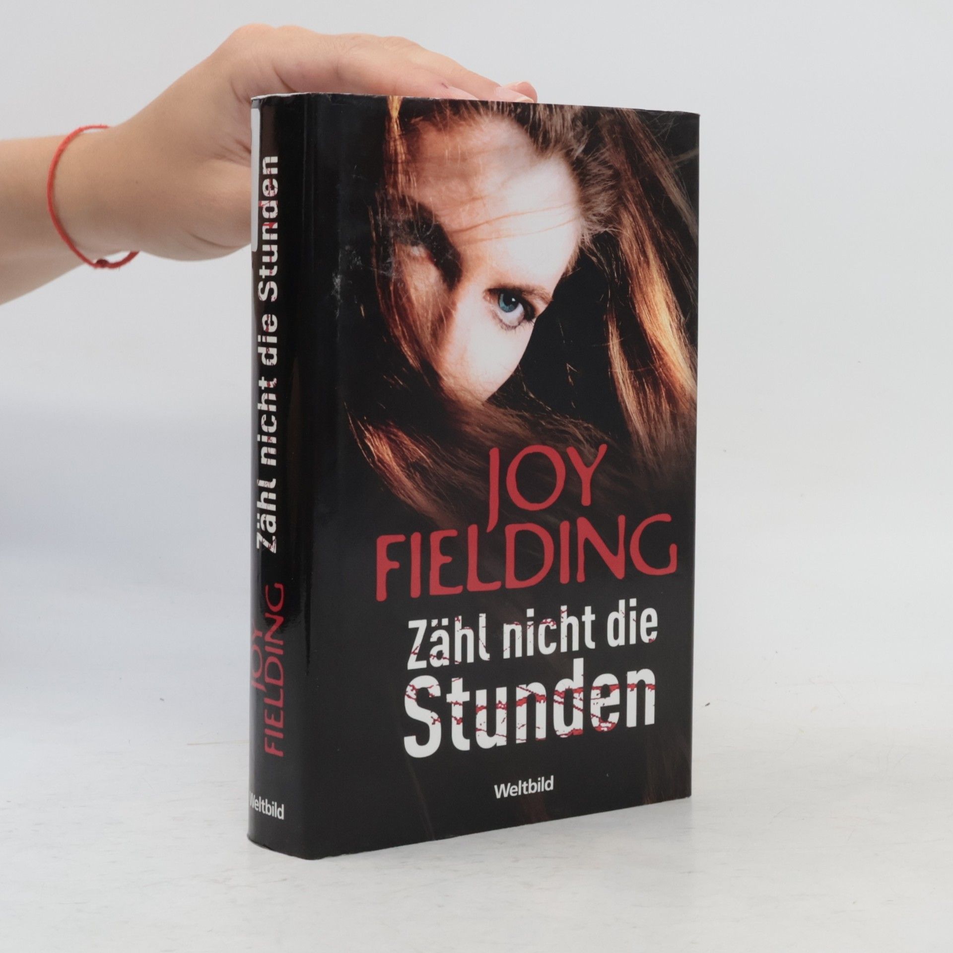 Joy Fielding Zähl nicht die Stunden