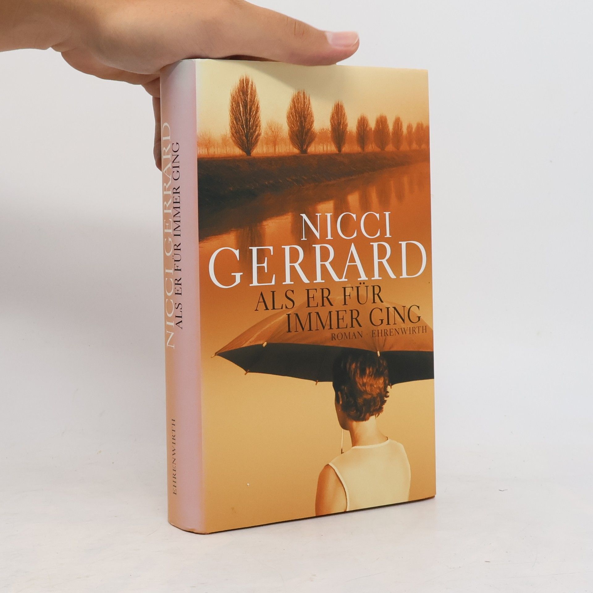 Nicci Gerrard Als er für immer ging