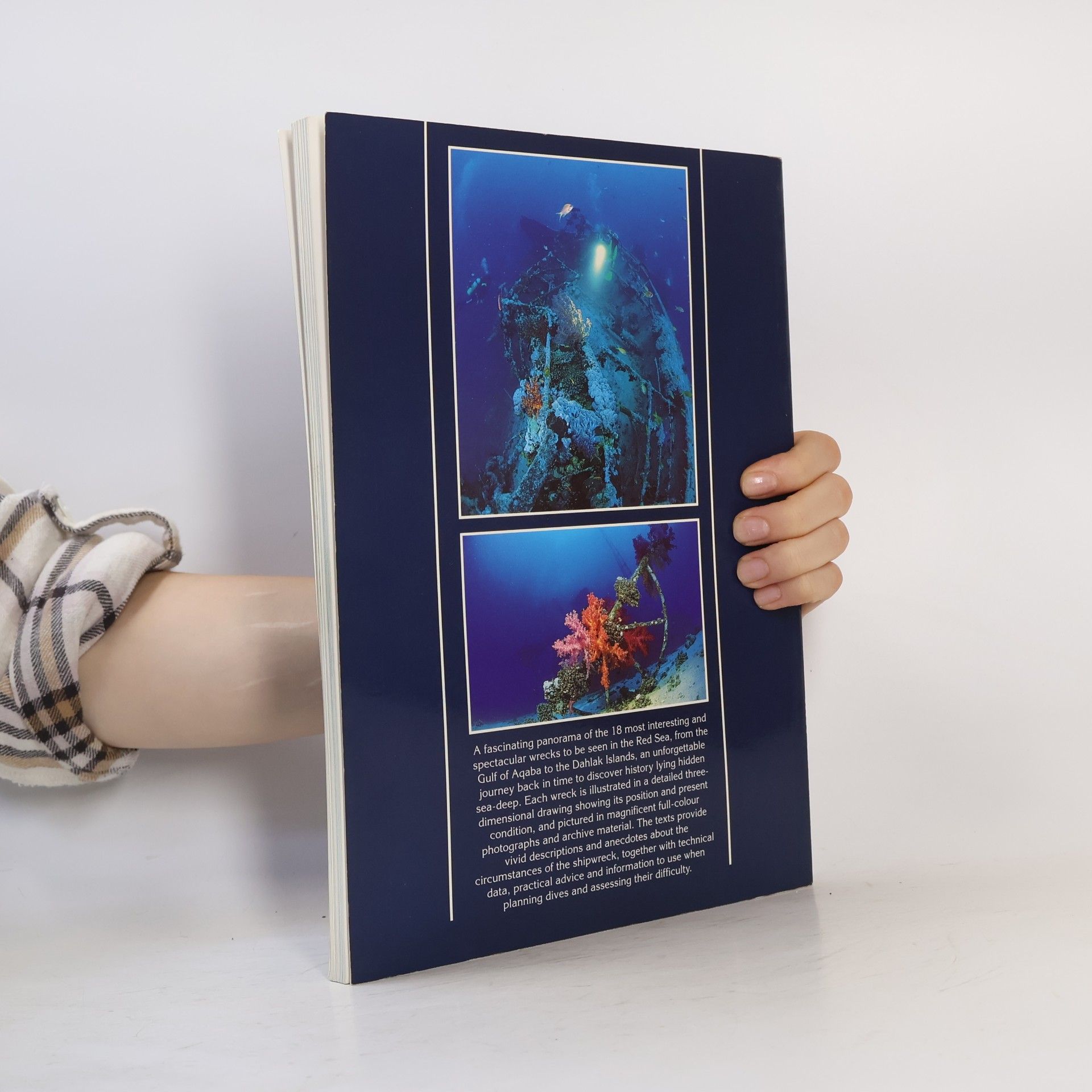 Various authors Diving Guide to the Red Sea Wrecks