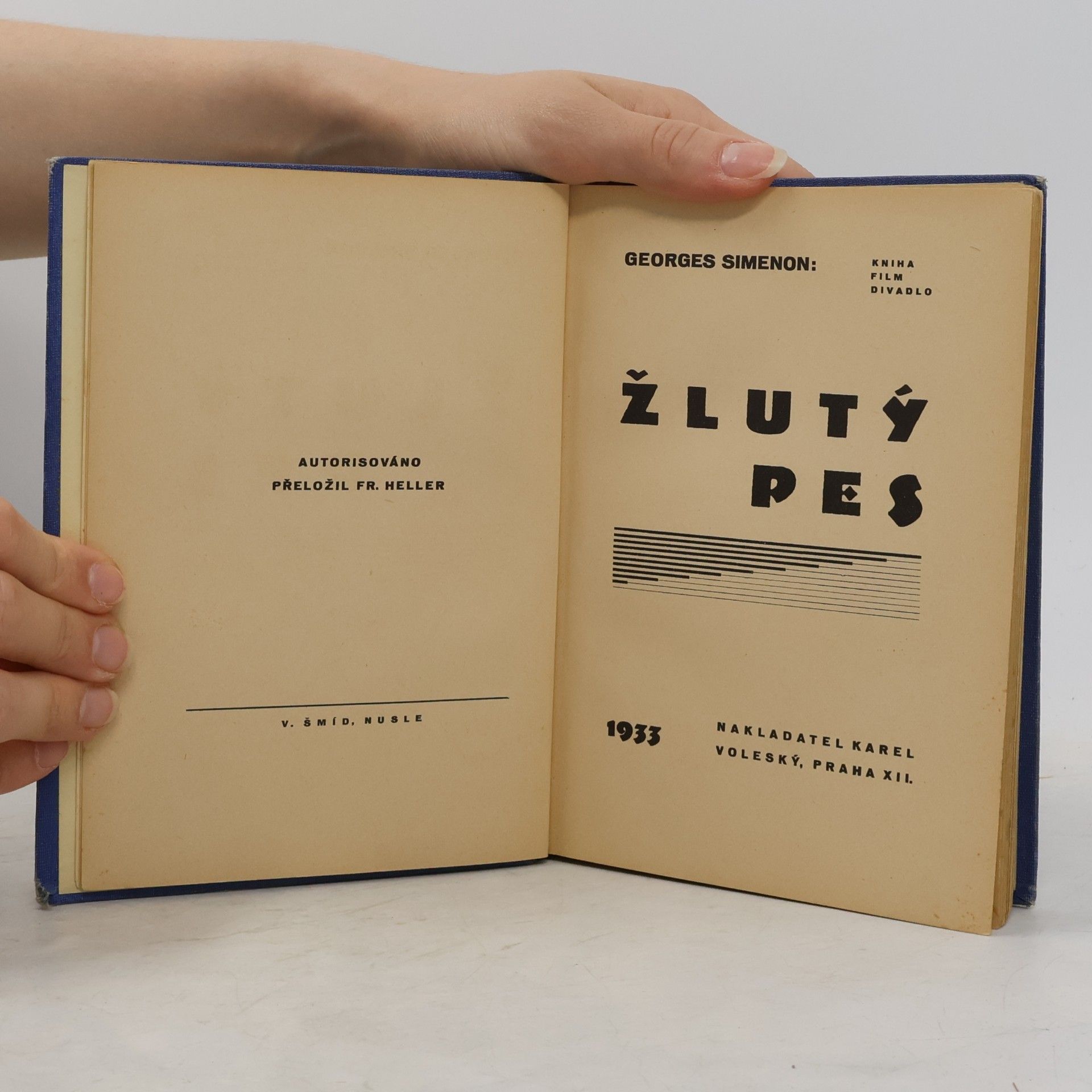 Georges Simenon Žlutý pes