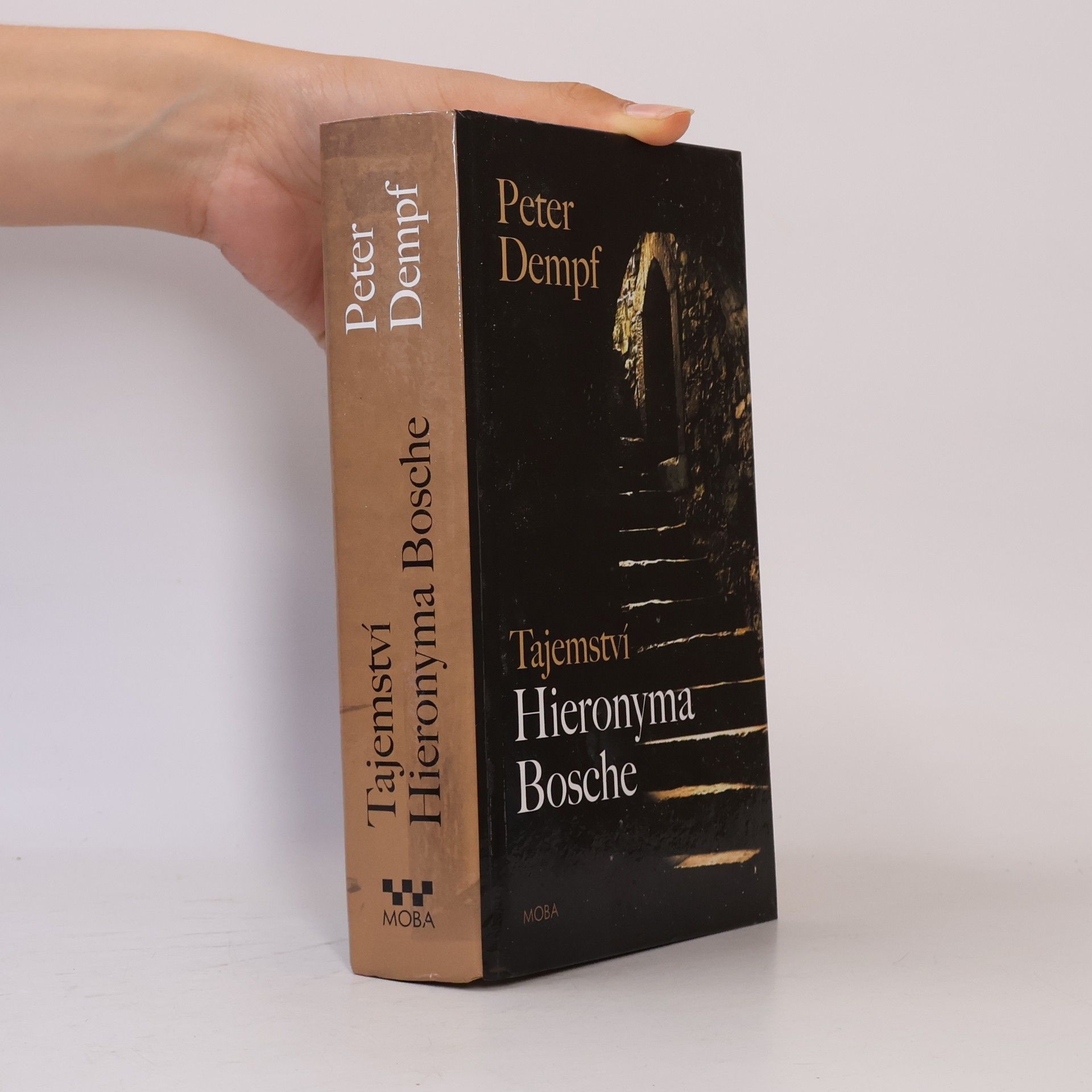Peter Dempf Tajemství Hieronyma Bosche