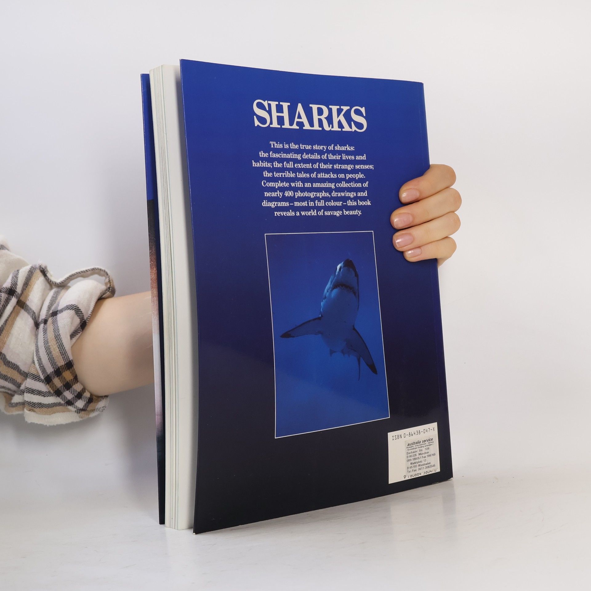 Peter Goadby Sharks