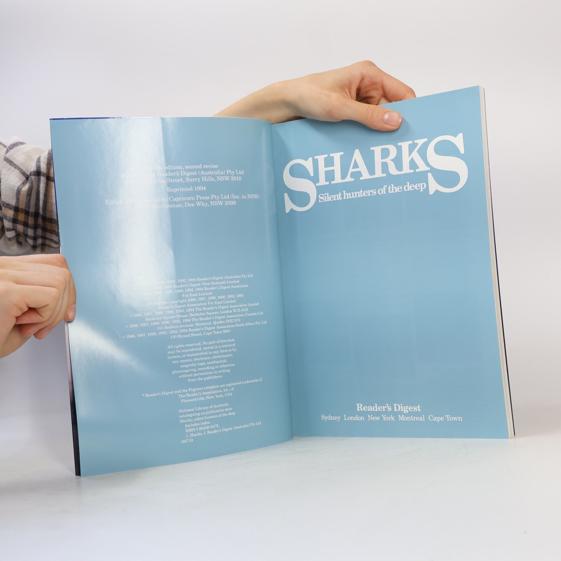 Peter Goadby Sharks