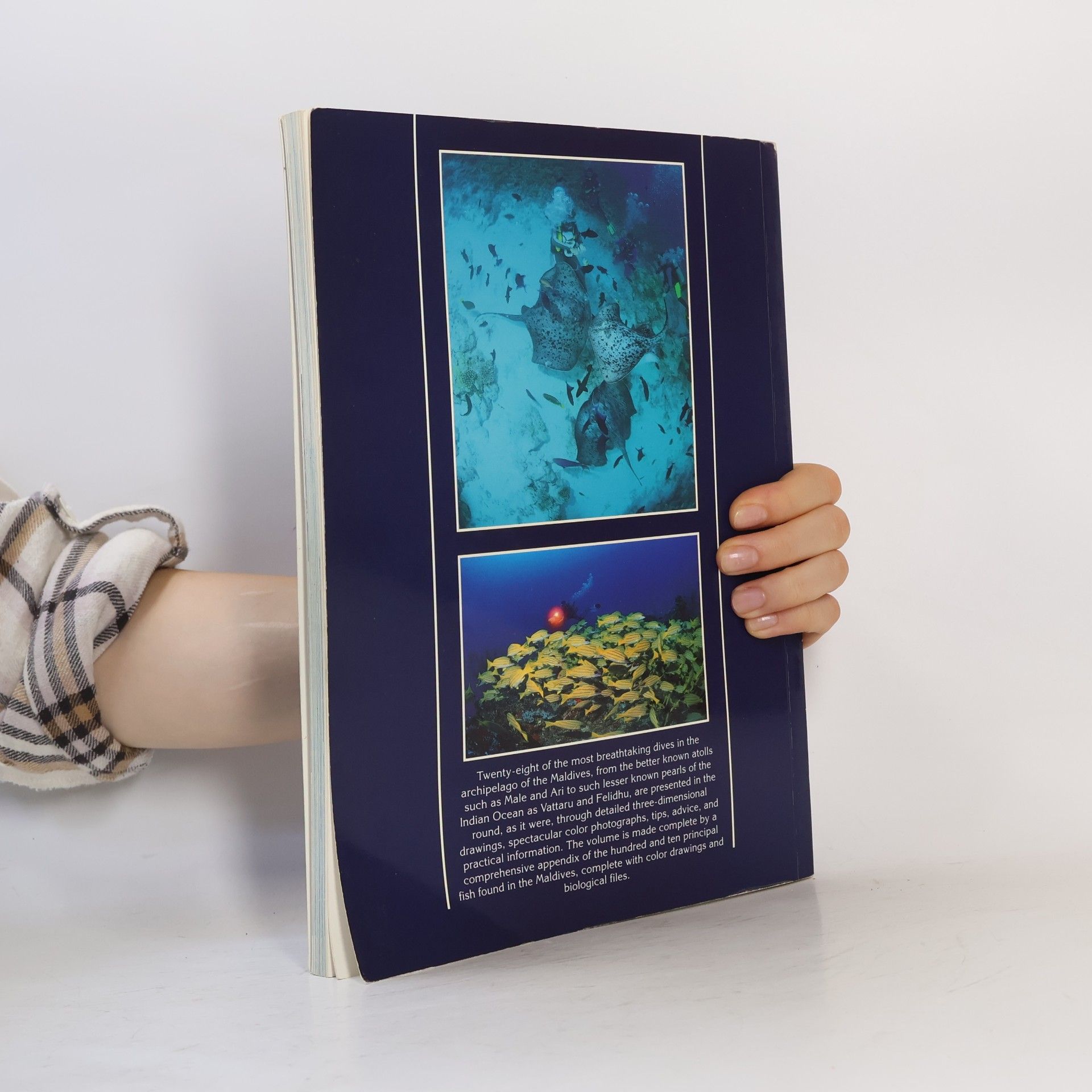 Kurt Amsler Maldives. Diving Guide
