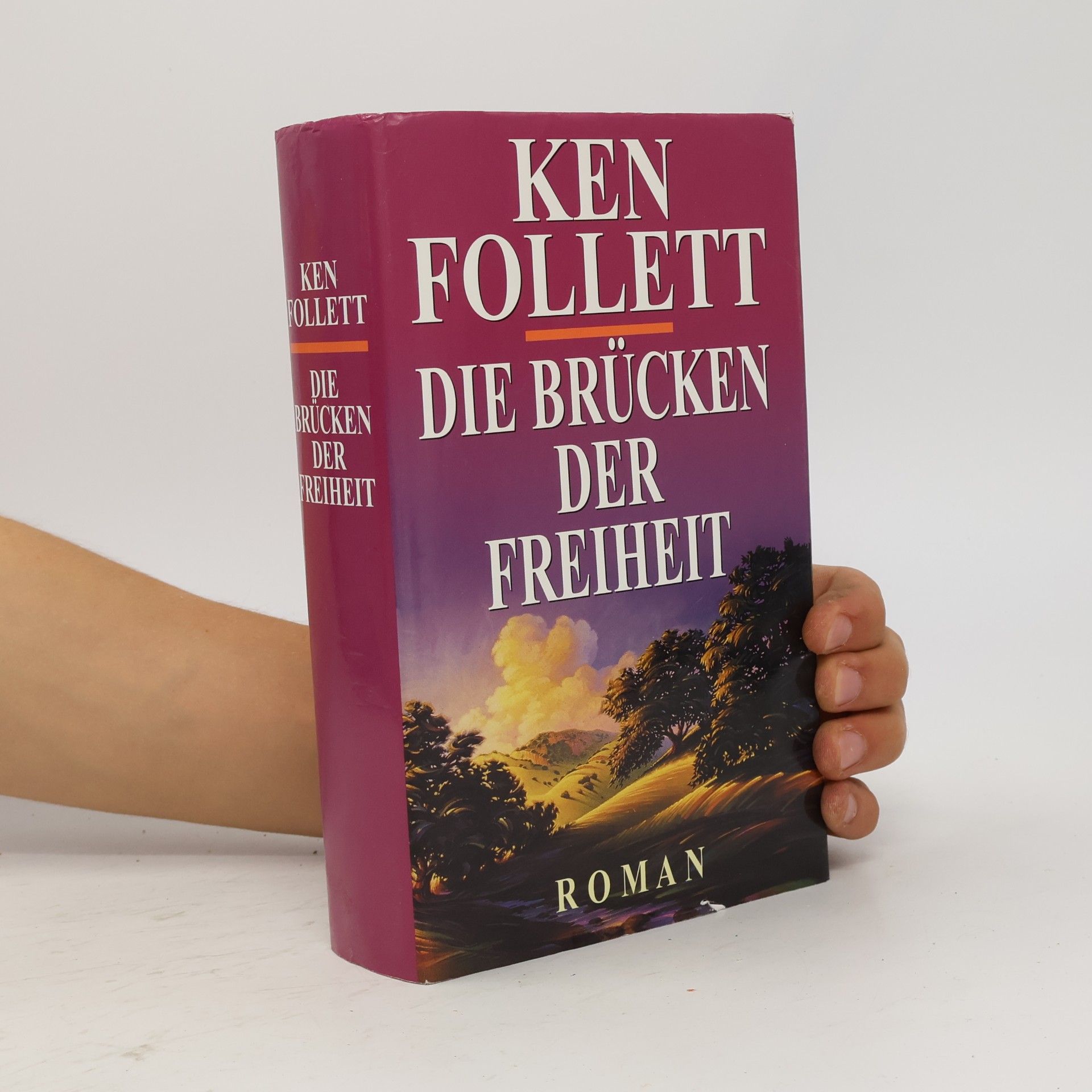 Ken Follett Die Brücken der Freiheit