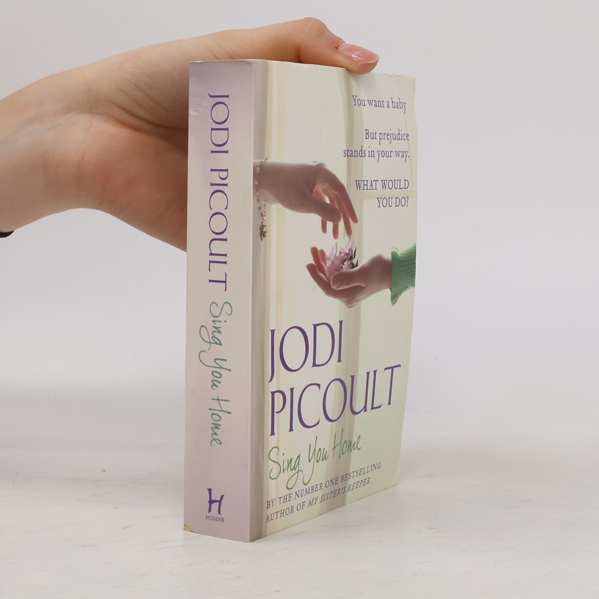 Jodi Picoult Sing you home