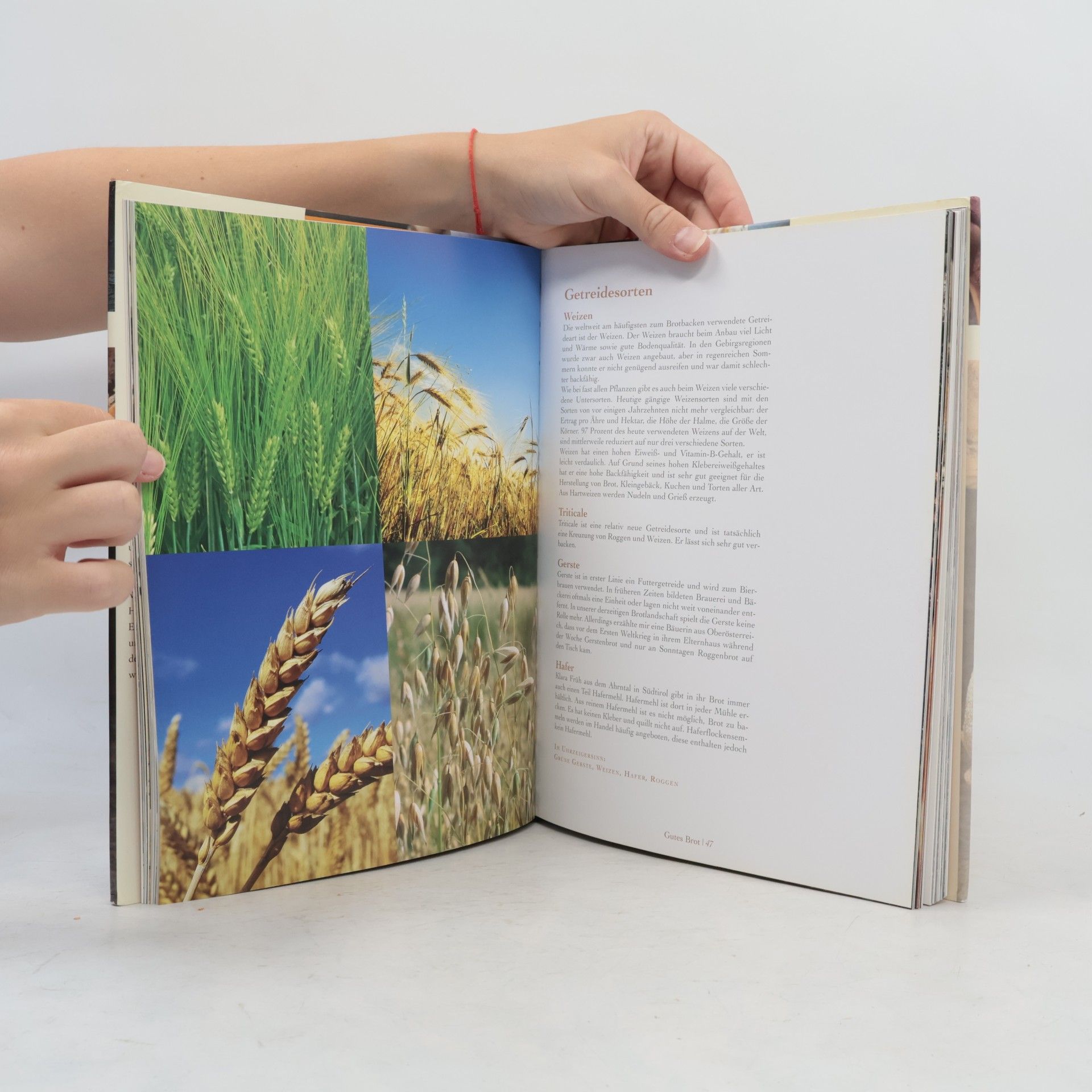 Roswitha Huber Gutes Brot