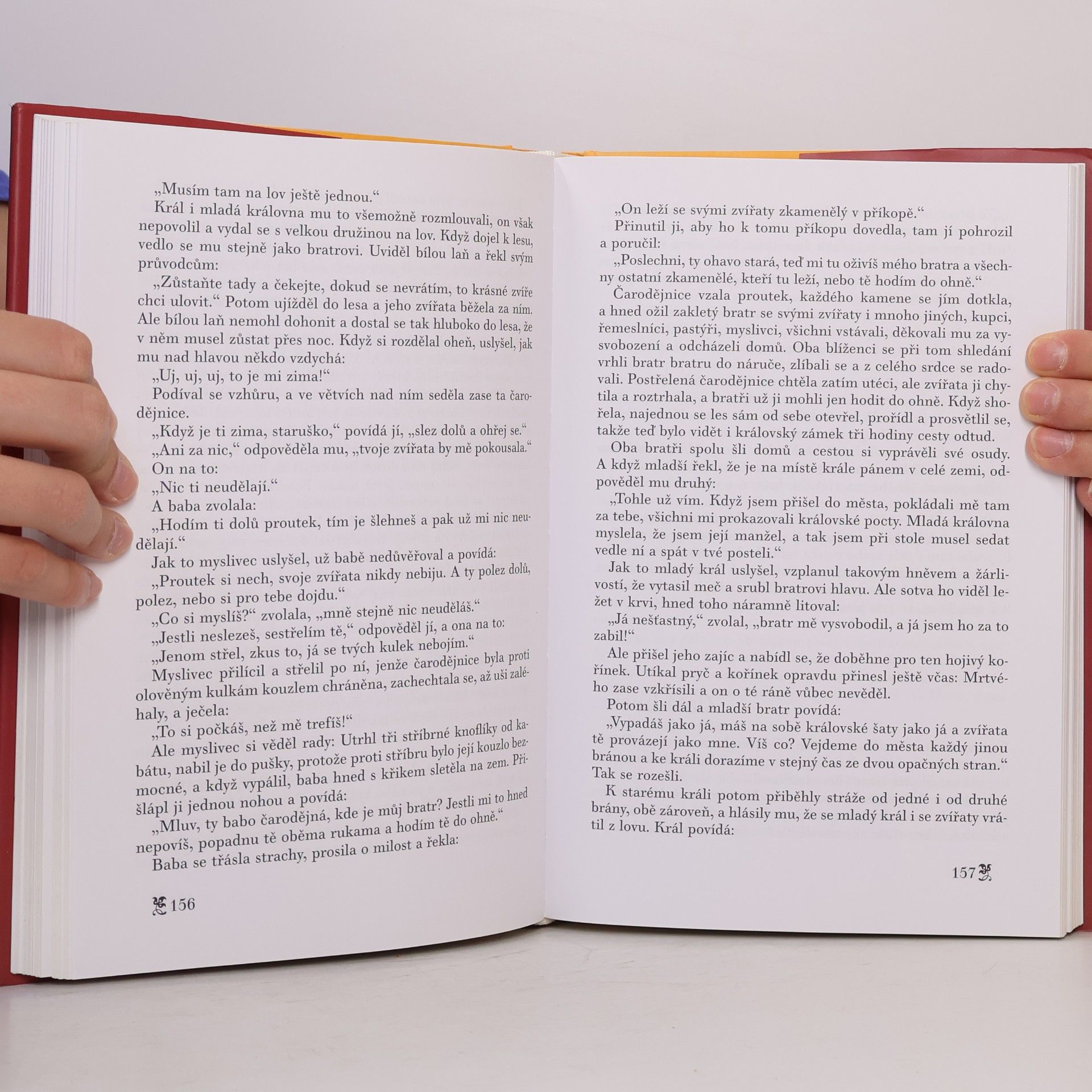 Jacob Grimm Pohádky bratří Grimmů