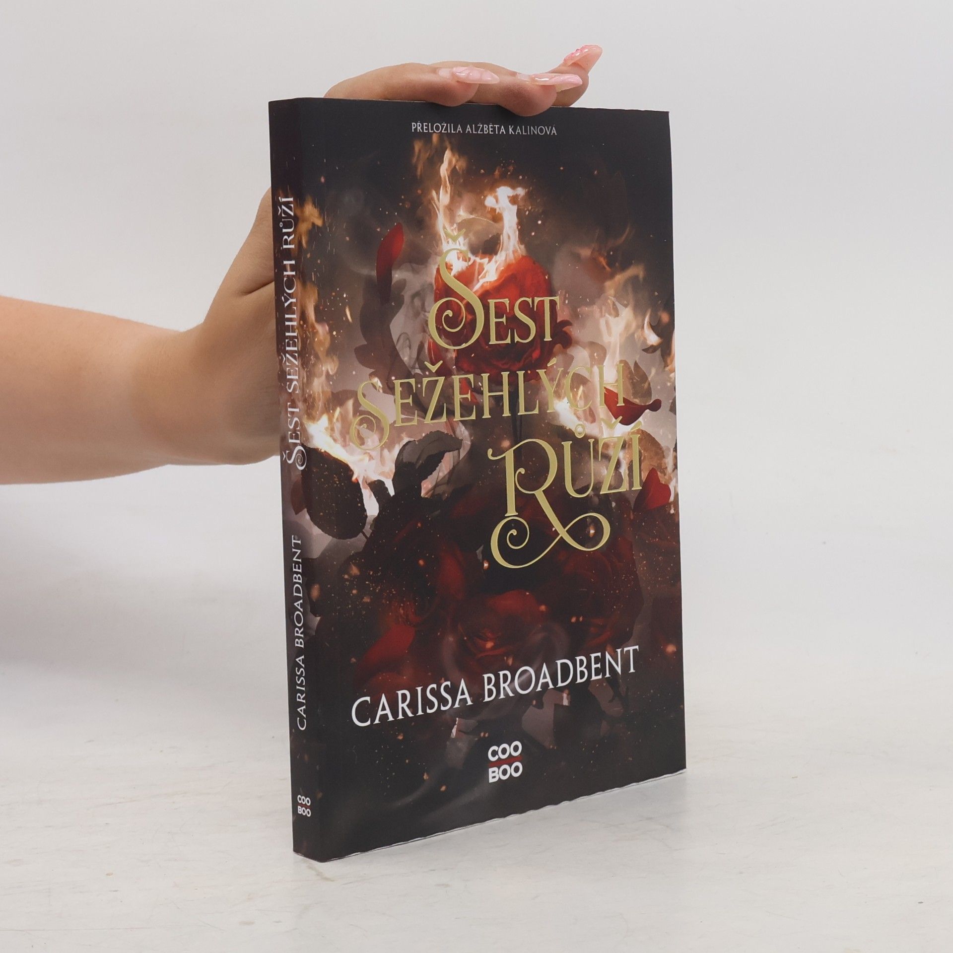 Carissa Broadbent Šest sežehlých růží