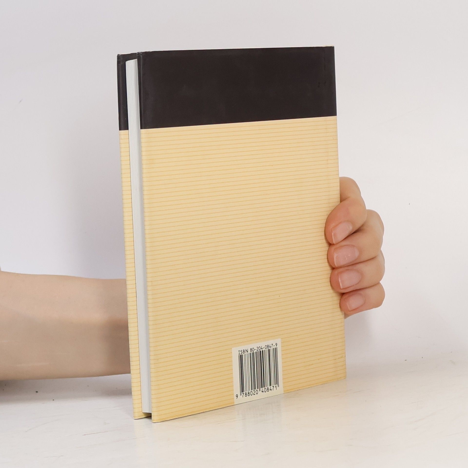 Bohumil Hrabal Perlička na dně