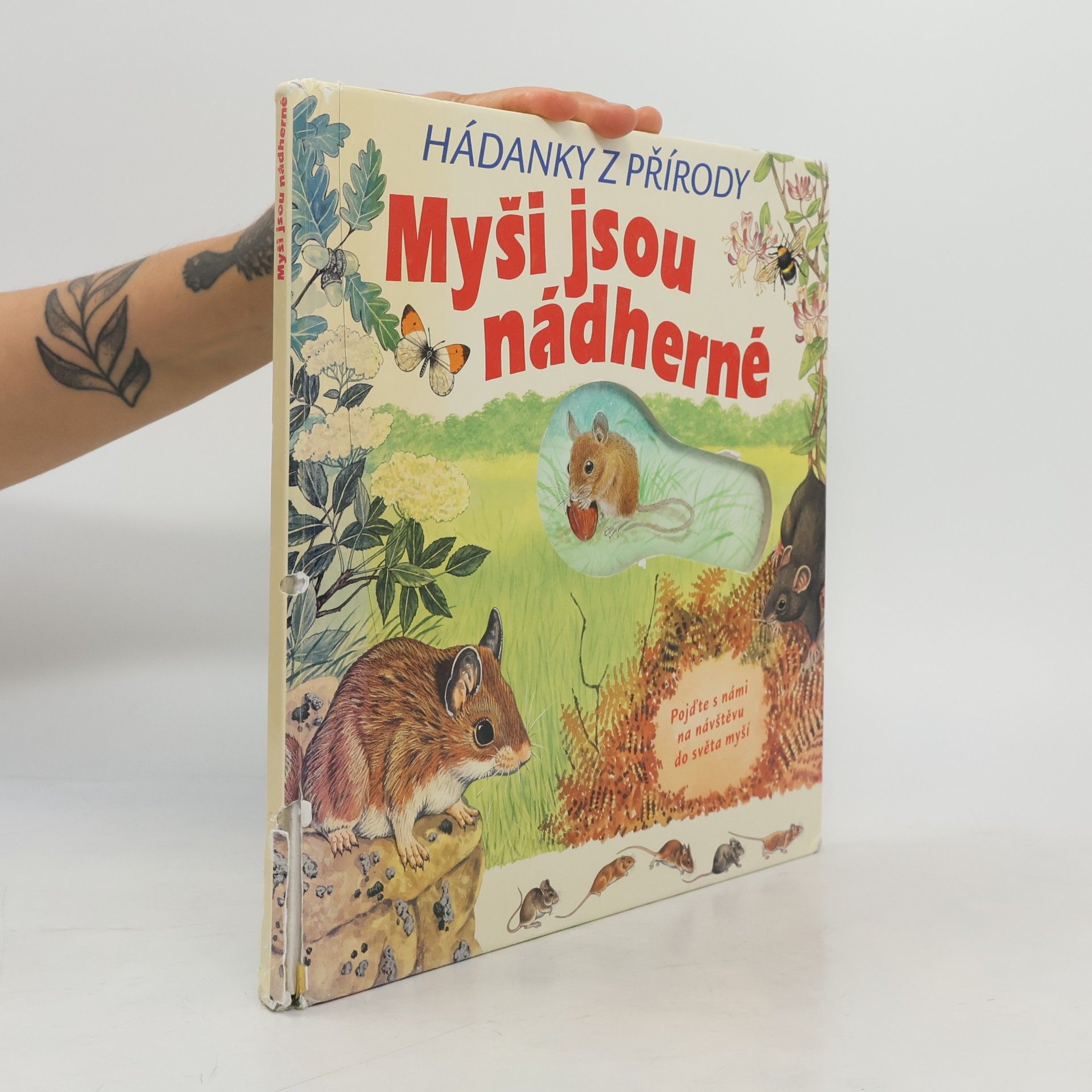Robin Robbins Myši jsou nádherné