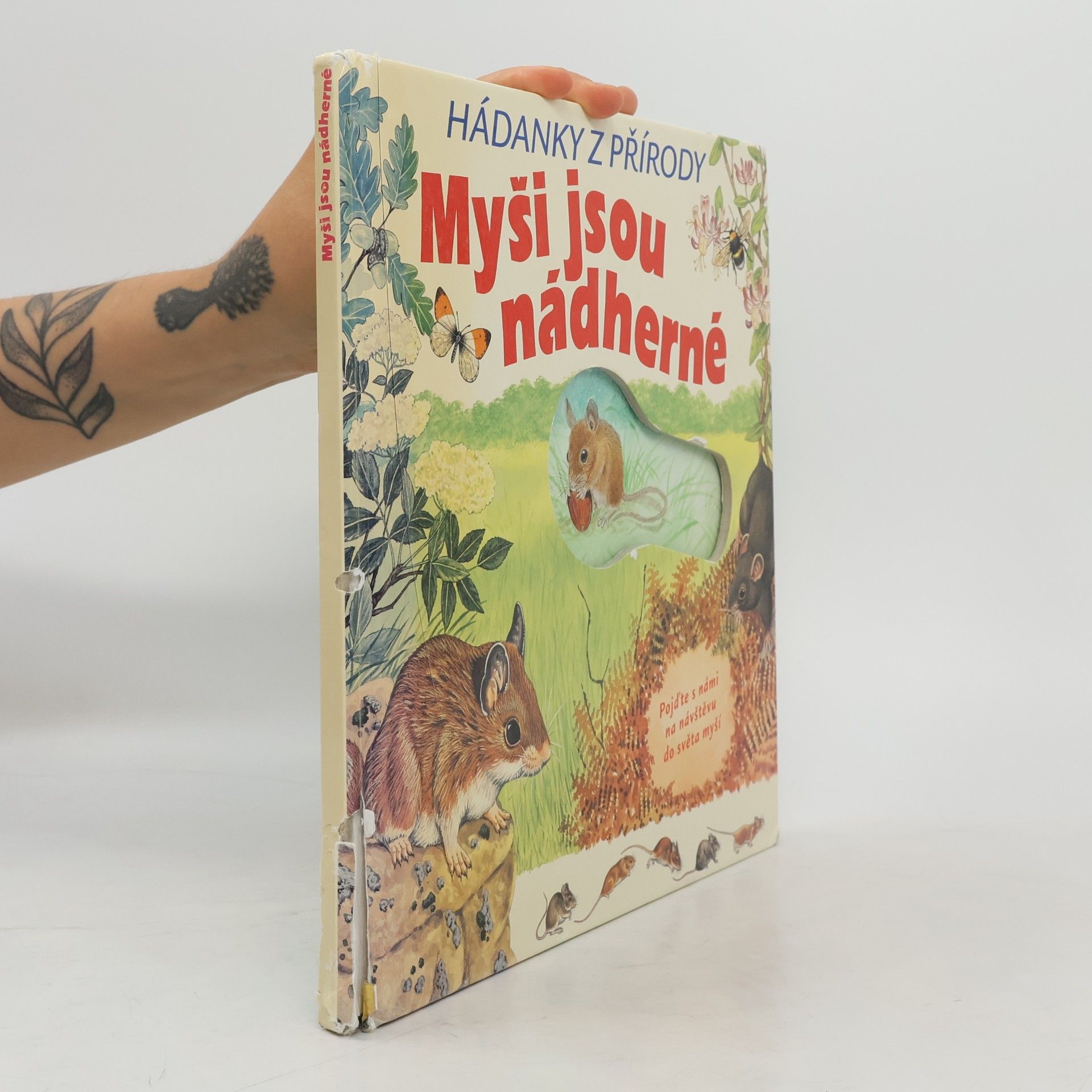 Robin Robbins Myši jsou nádherné