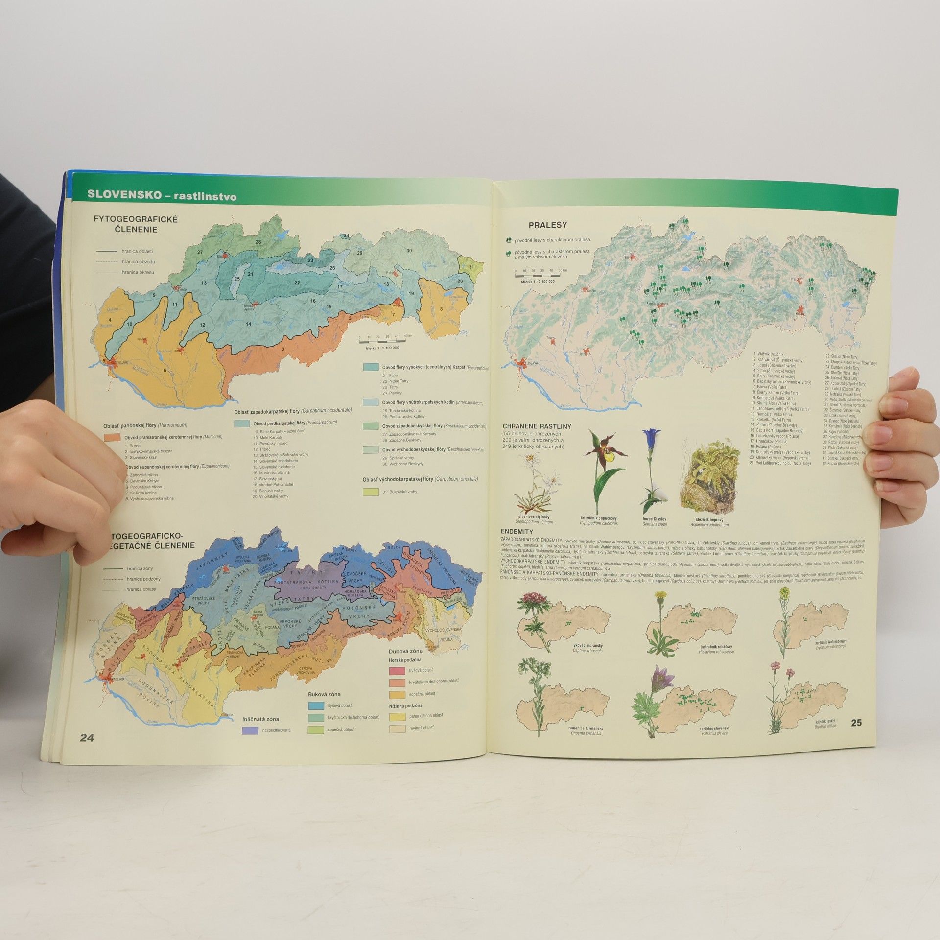 Róbert Čeman Slovenská republika - Geografický atlas
