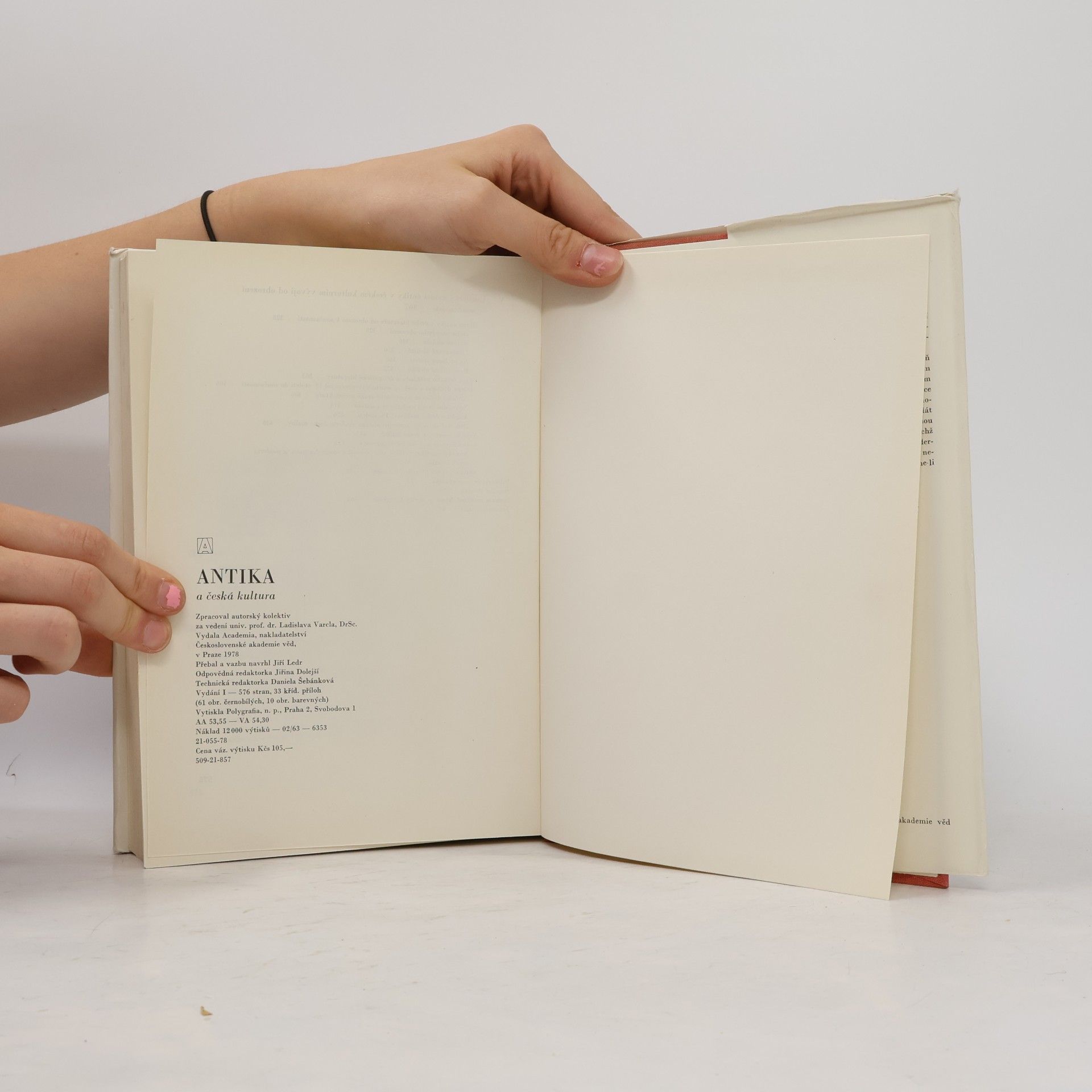 Kolektiv autorů Antika a česká kultura