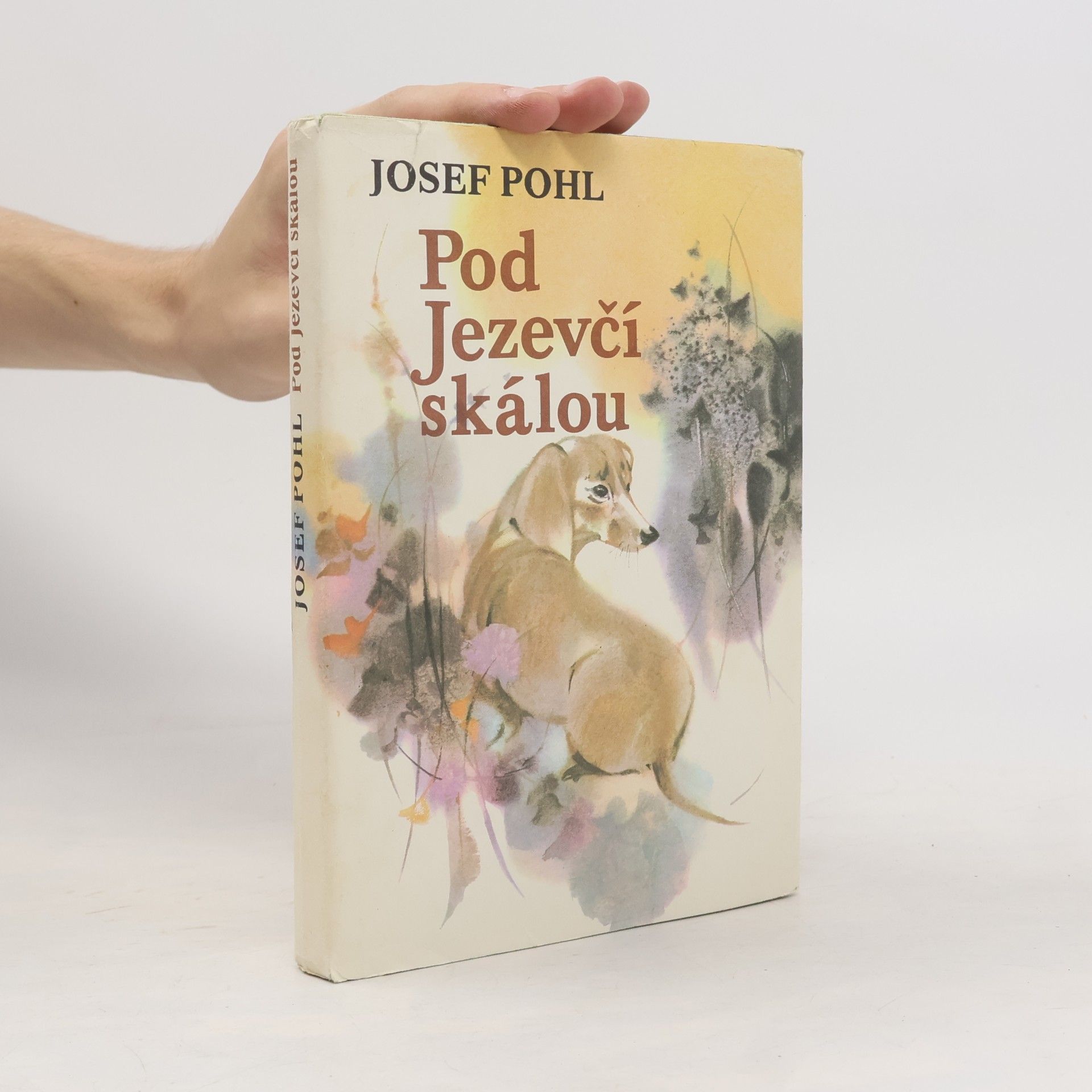 Josef Pohl Pod Jezevčí skálou