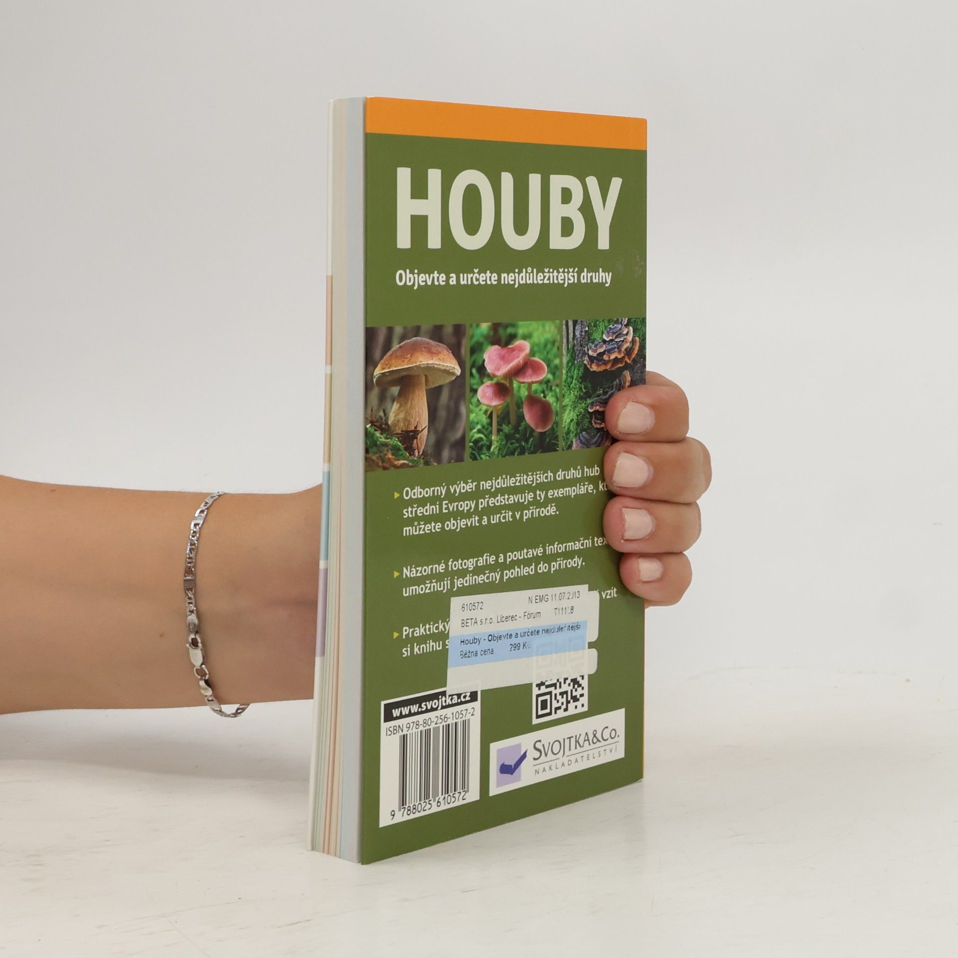 Angelika Lang Houby : [objevte a určete nejdůležitější druhy]