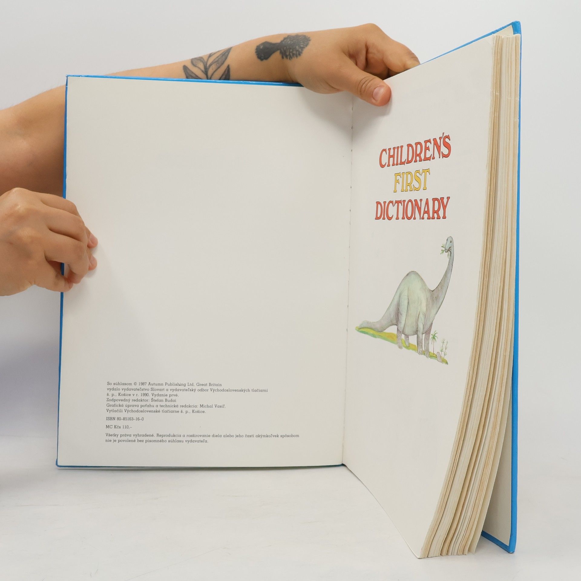 Various authors Children's First Dictionary. Môj prvý anglický slovník