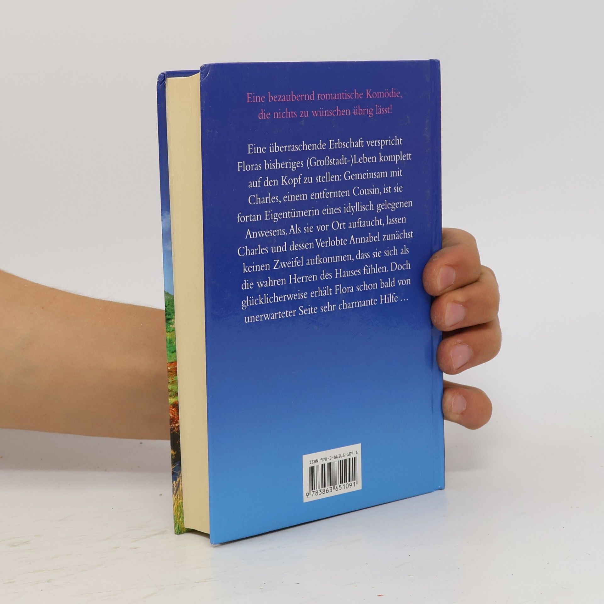 Katie Fforde Eine kostbare Affäre