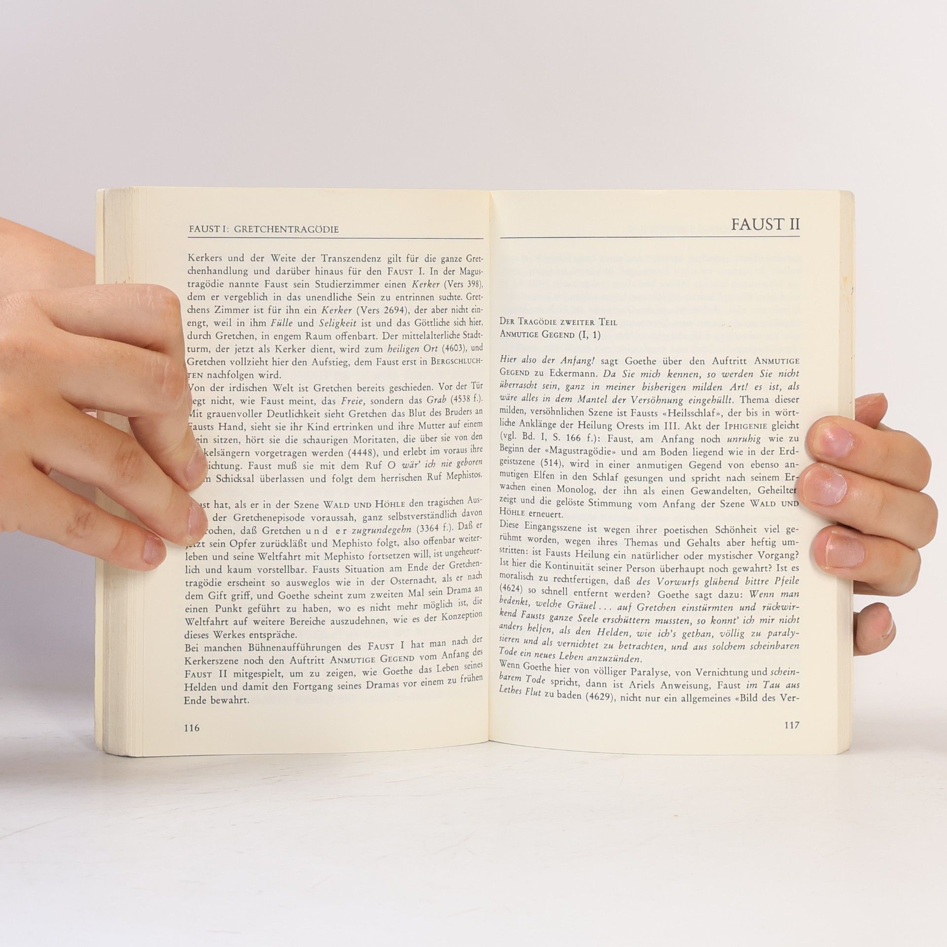 Walter Henze Goethe 2