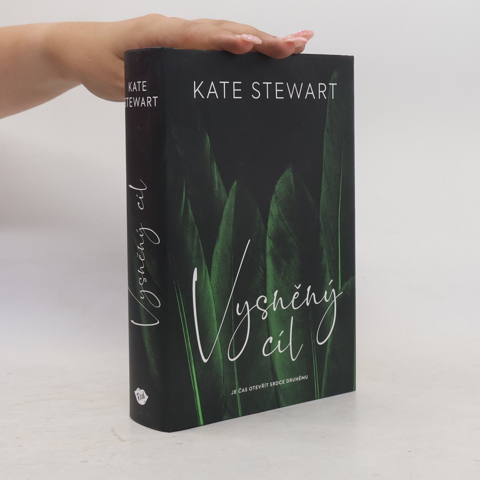 Kate Stewart Vysněný cíl. Kniha třetí