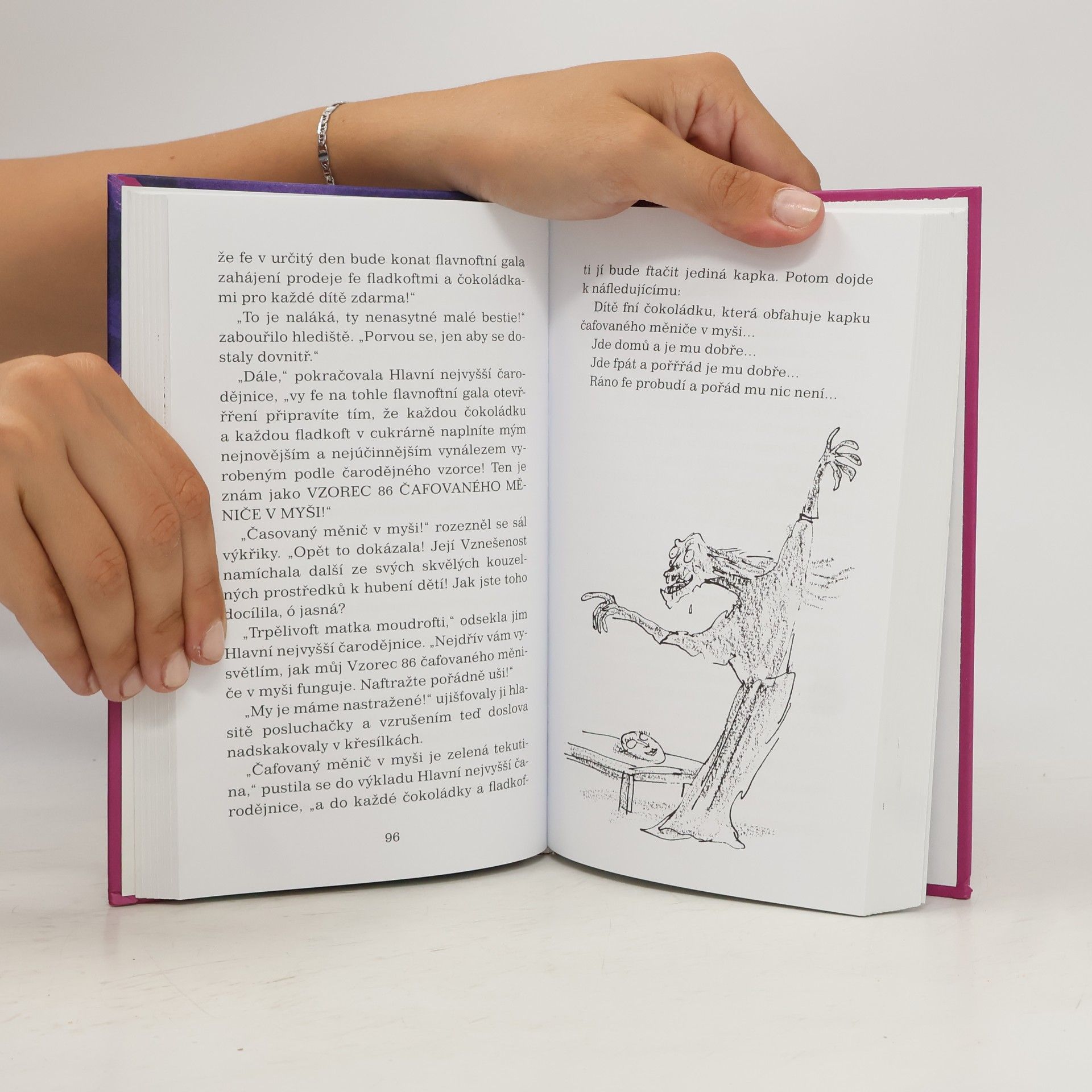 Roald Dahl Čarodějnice