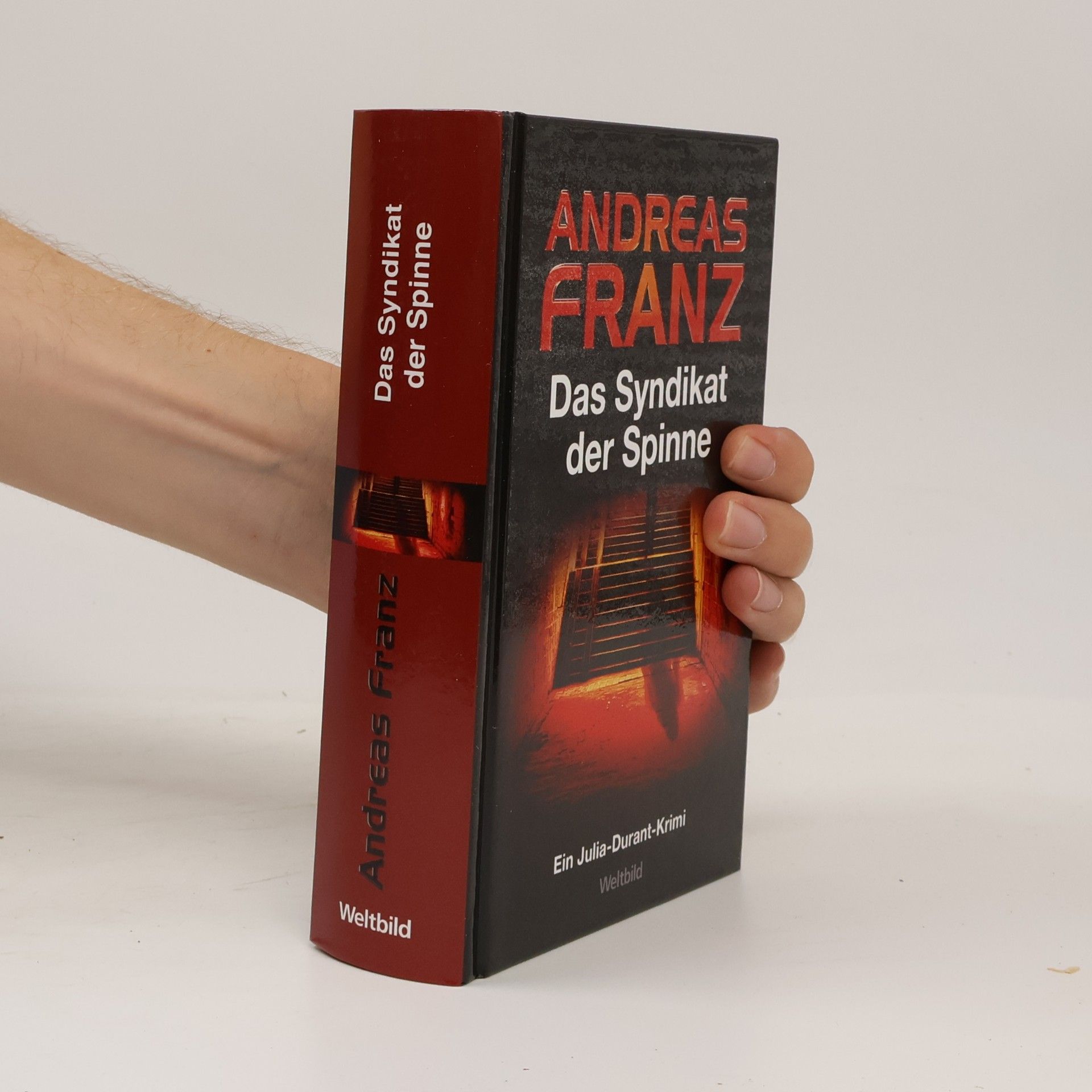 Andreas Franz Das Syndikat der Spinne