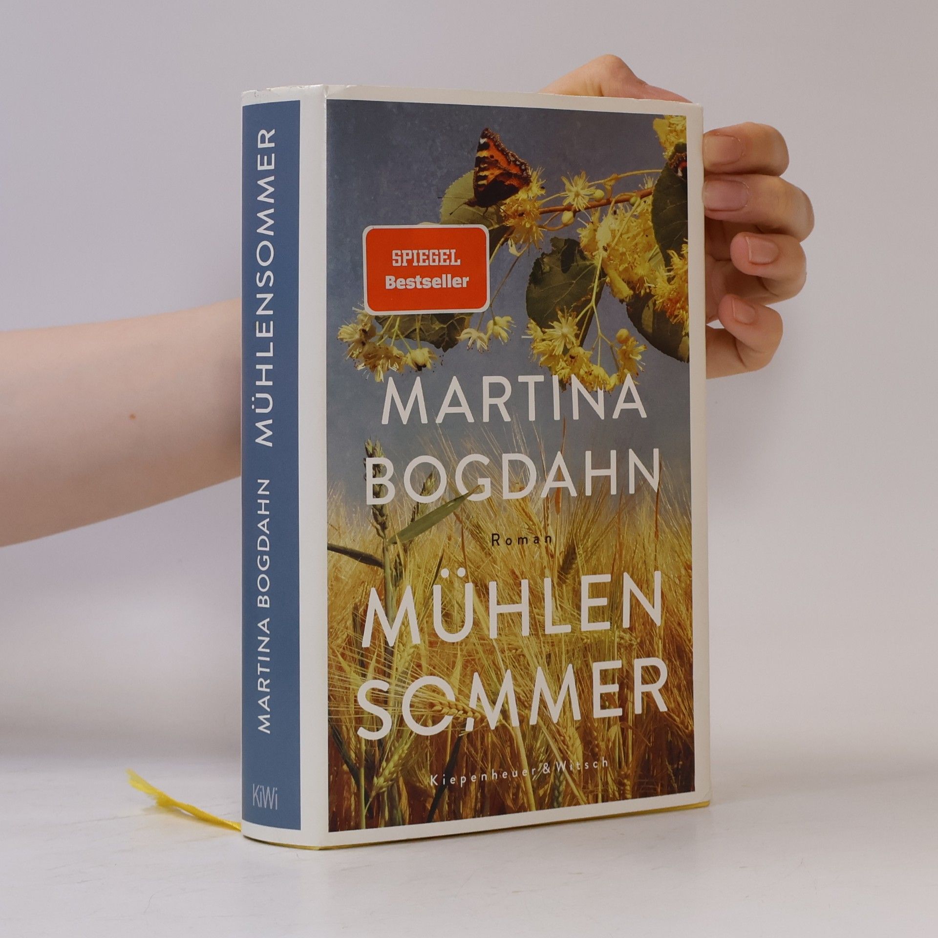 Martina Bogdahn Mühlensommer