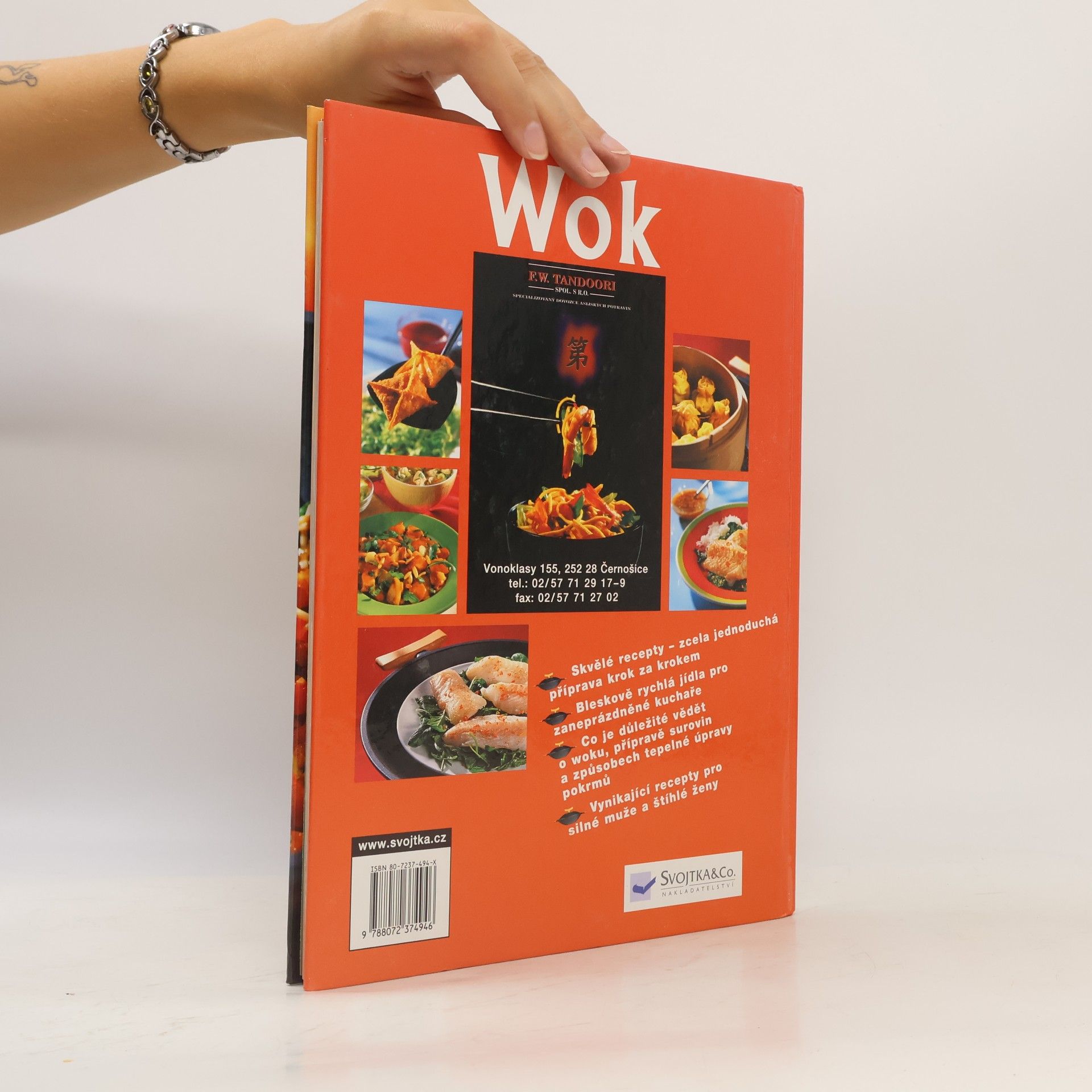 Angelika Ilies Wok snadno a rychle