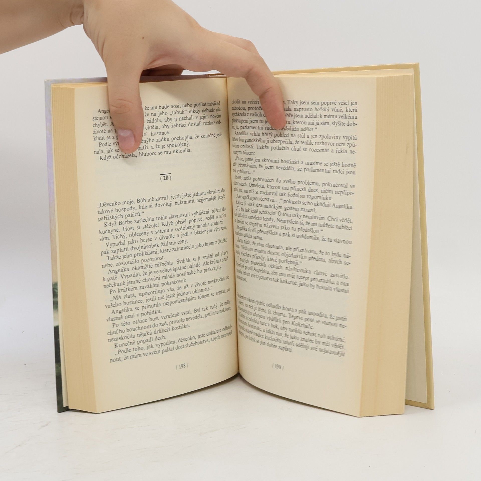 Anne Golon Angelika 2 – Cesta do Versailles