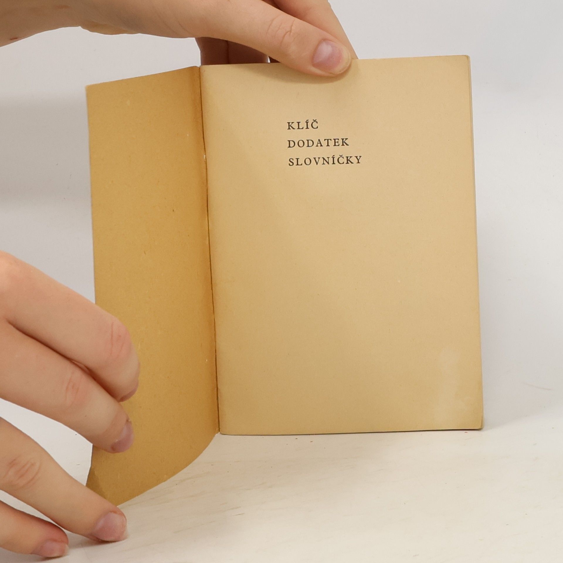 Various authors Česko - anglický a anglicko - český slovník: Klíč ke cvičením