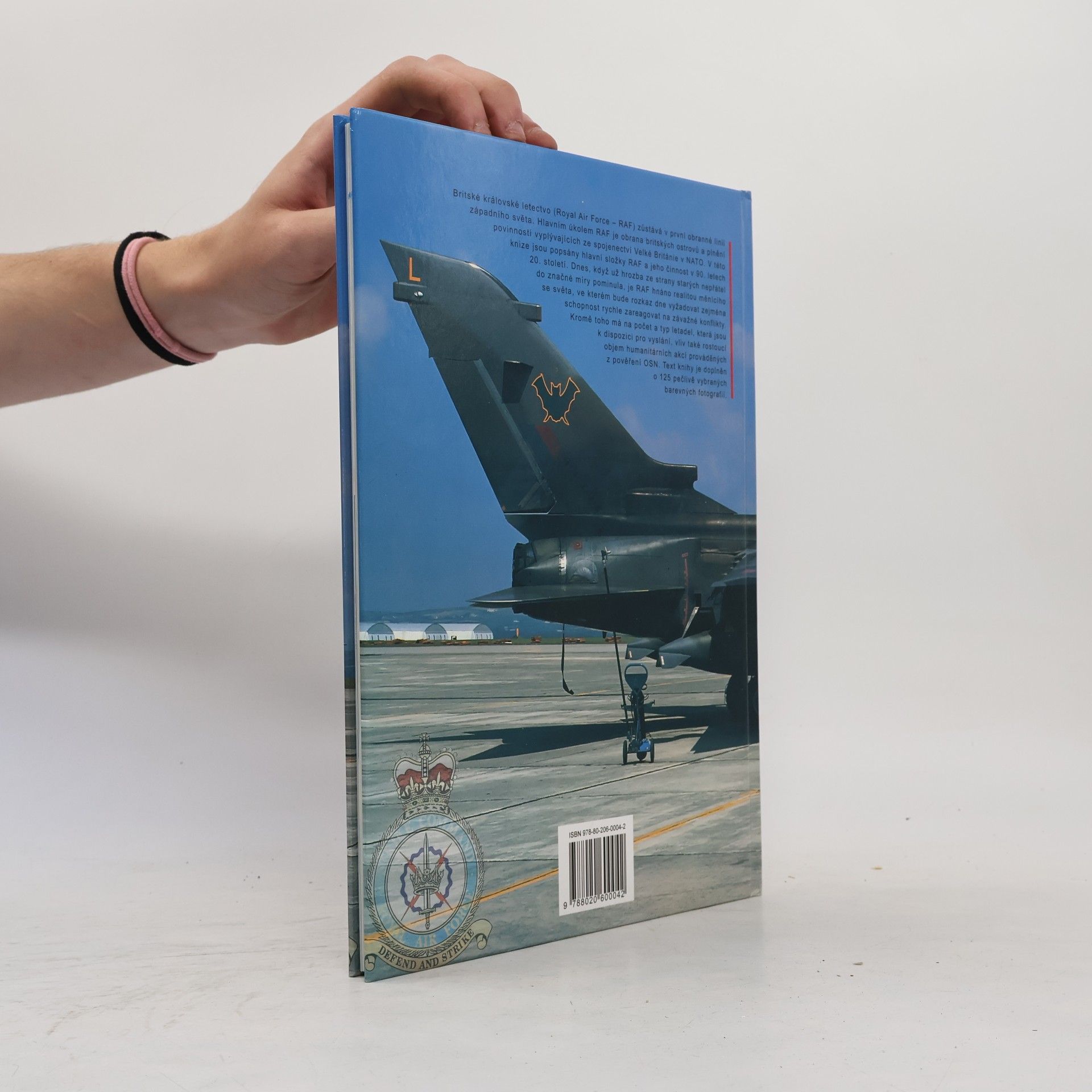 Alan Wilburn Hall RAF po pádu Varšavské smlouvy