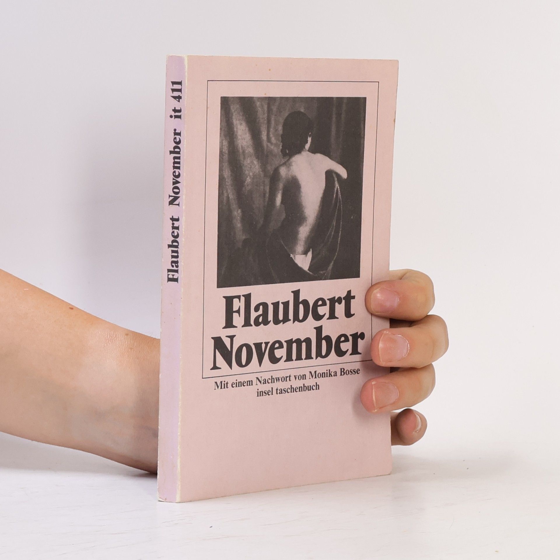 Gustave Flaubert November