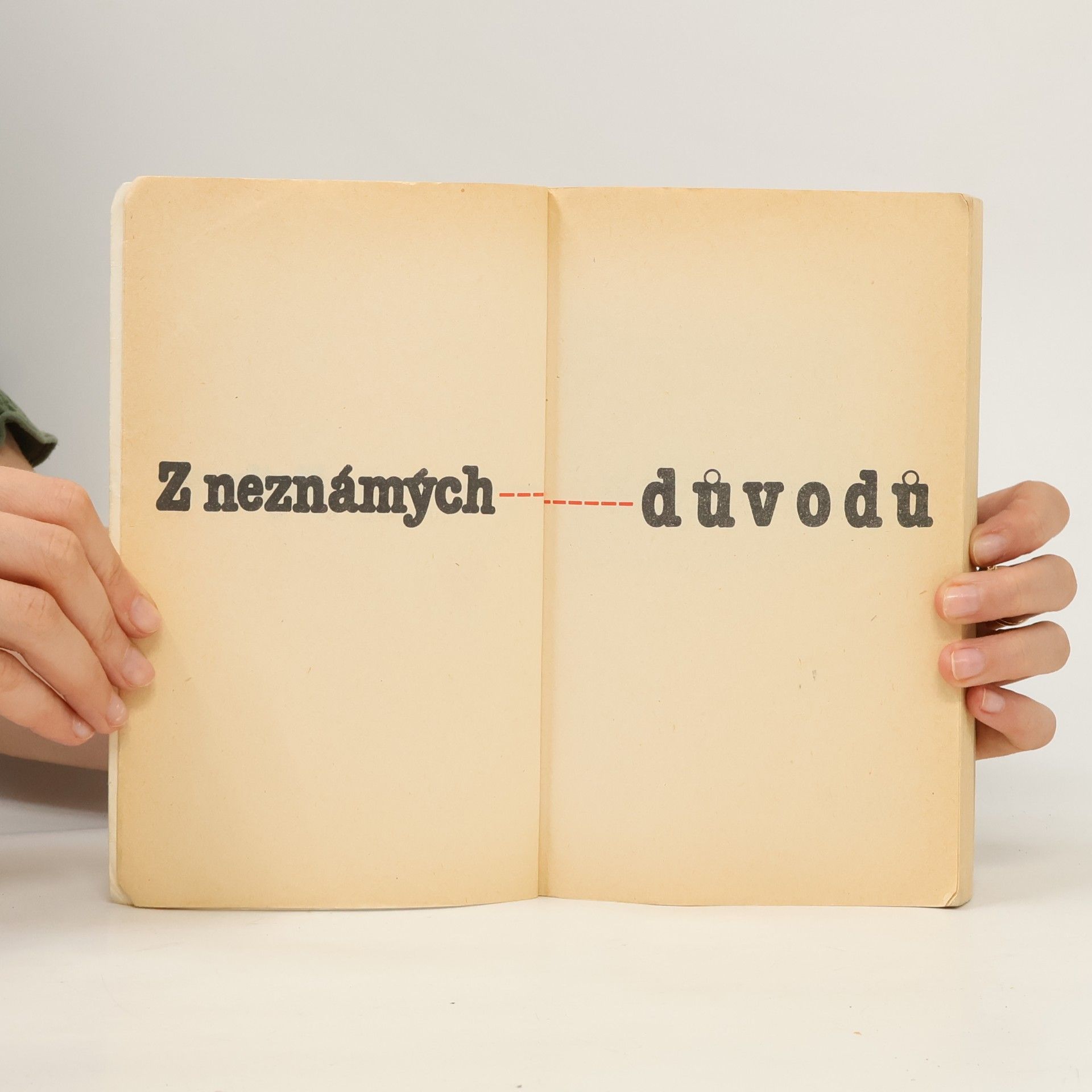 Zdena Frýbová Z neznámých důvodů