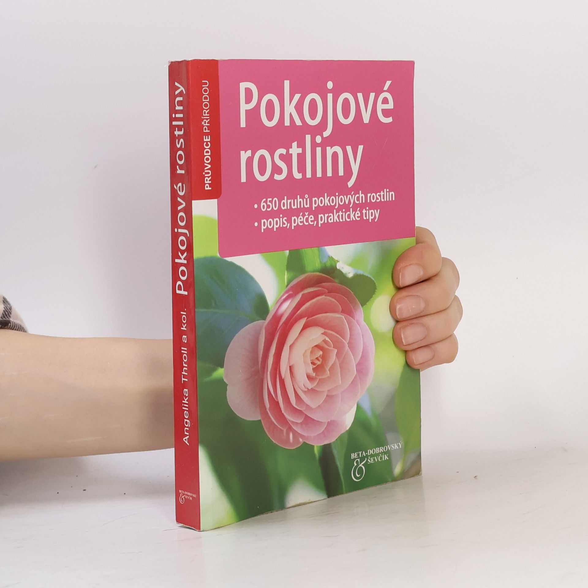 Angelika Throll Pokojové rostliny