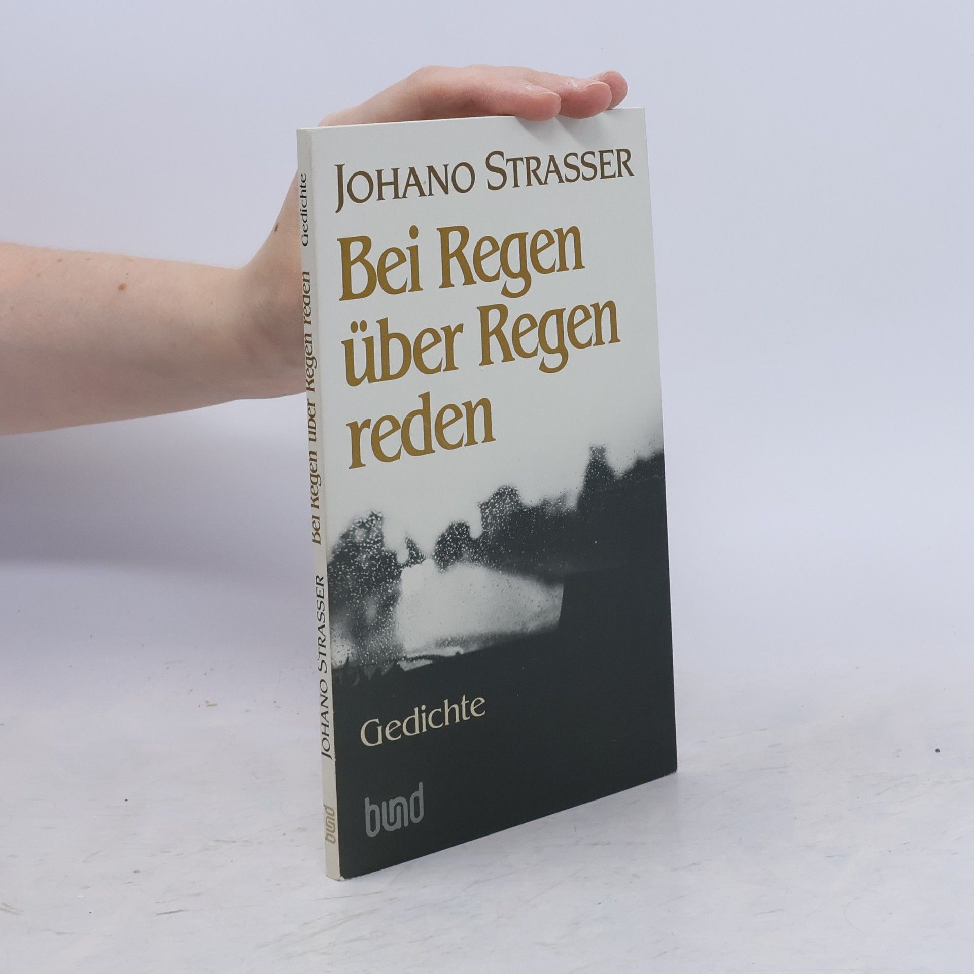 Johano Strasser Bei Regen über Regen reden
