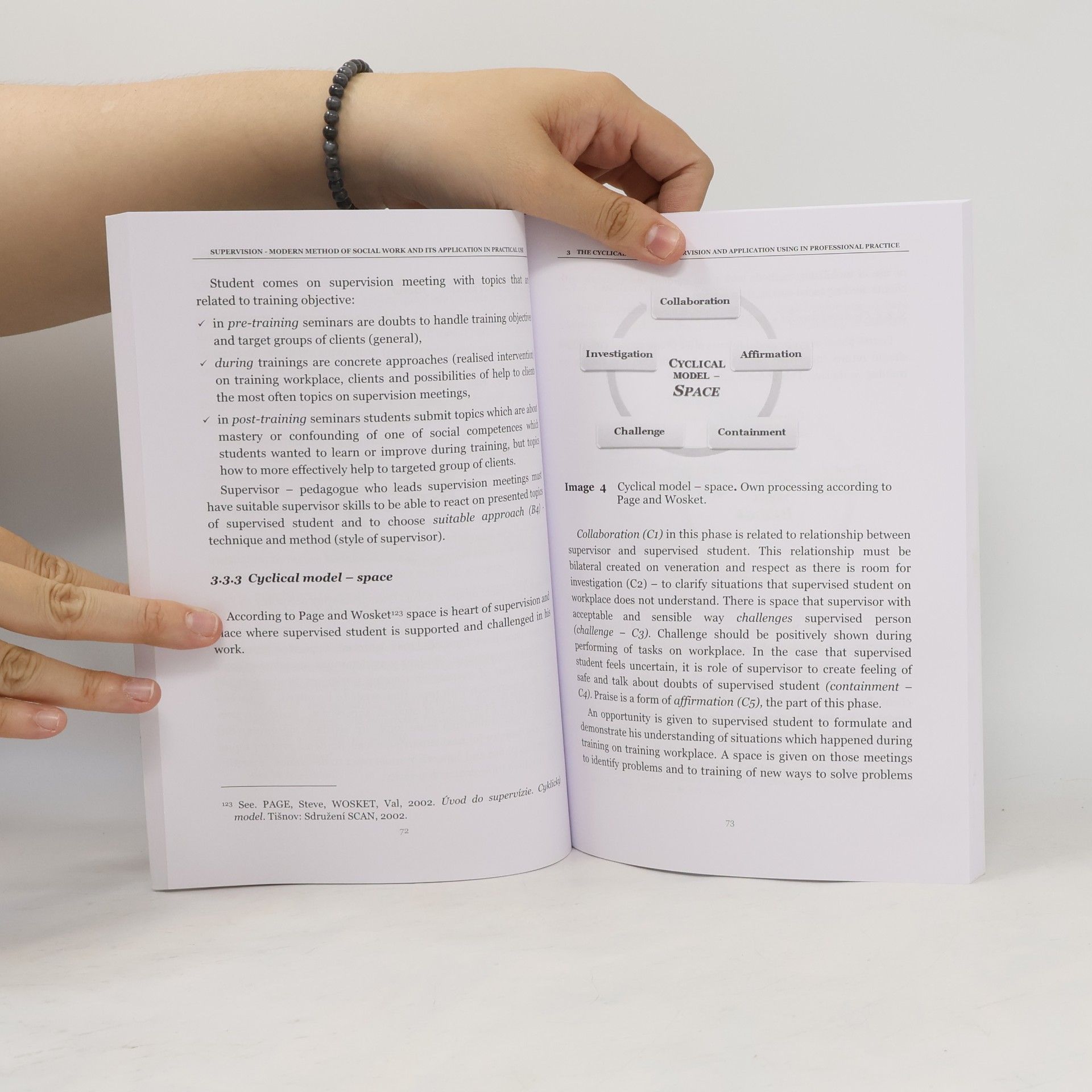 Lýdi Lešková Supervision - Modern Method of Social Work and Its Application in Practical Use
