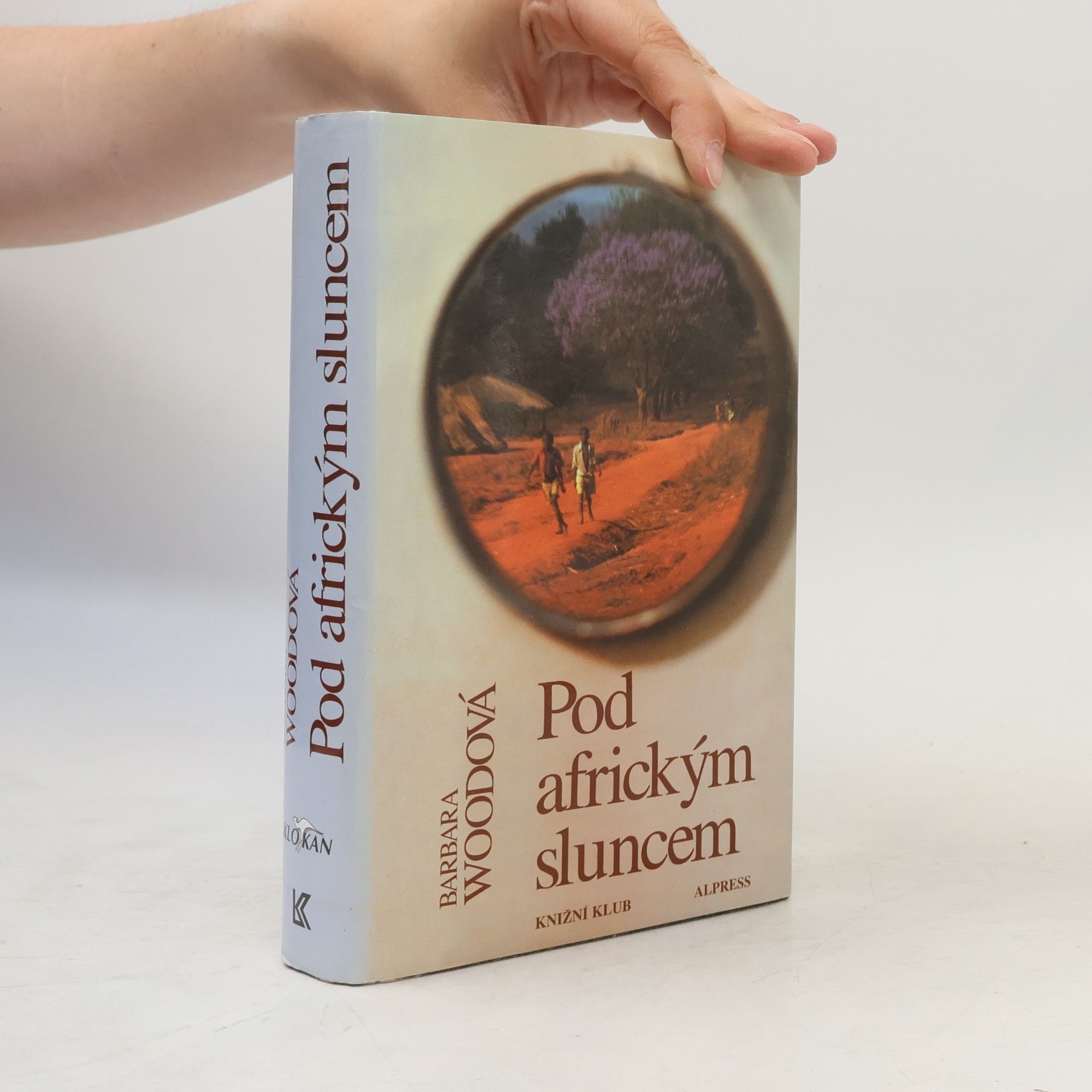 Barbara Wood Pod africkým sluncem