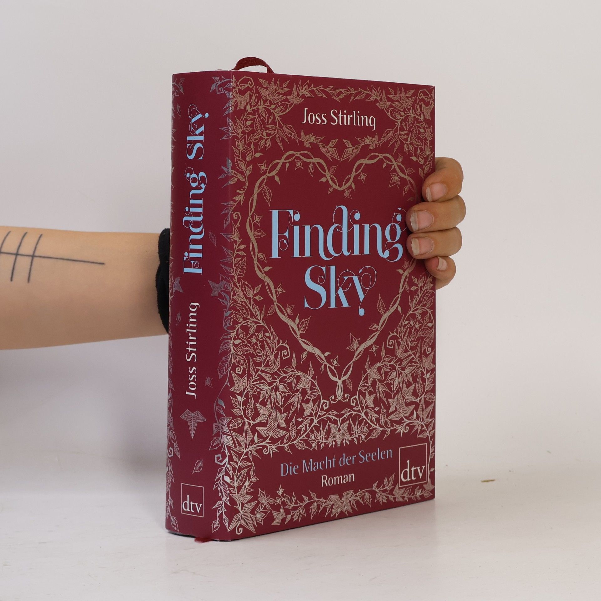 Julia Golding Finding Sky: Die Macht der Seelen