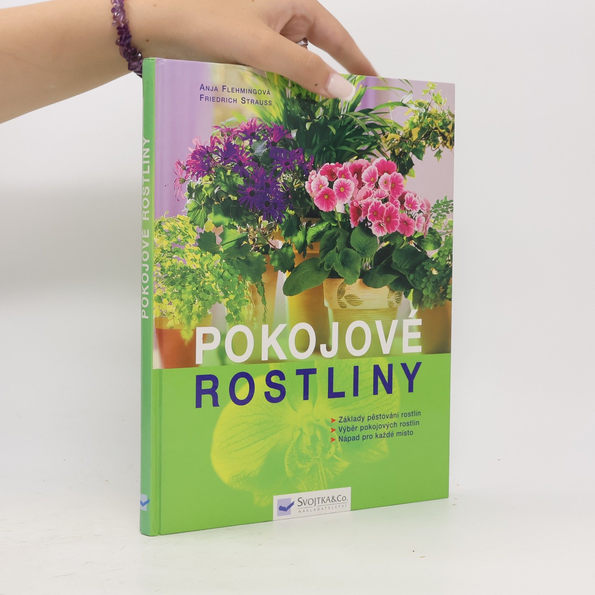 Anja Flehmig Pokojové rostliny