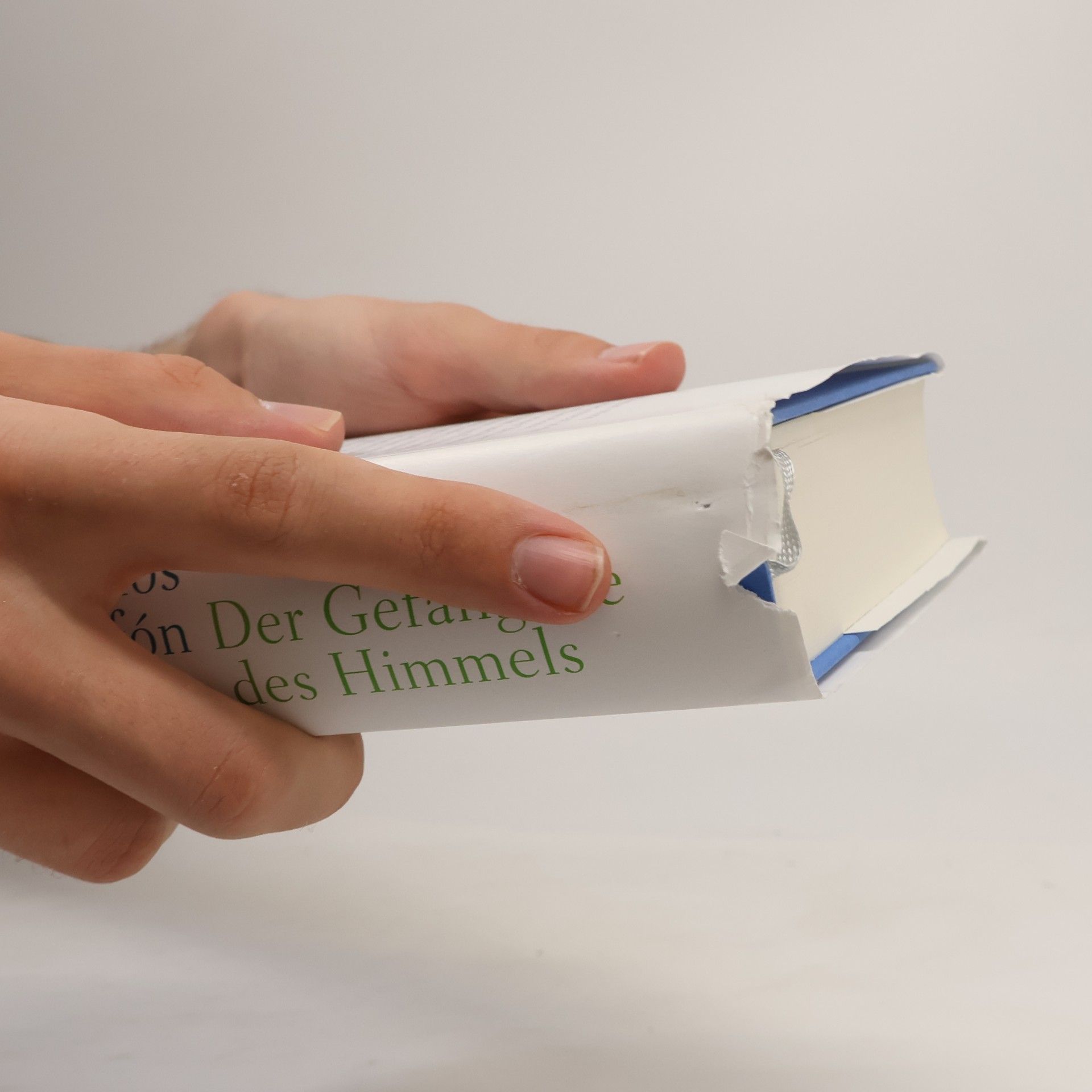 Carlos Ruiz Zafón Der Gefangene des Himmels
