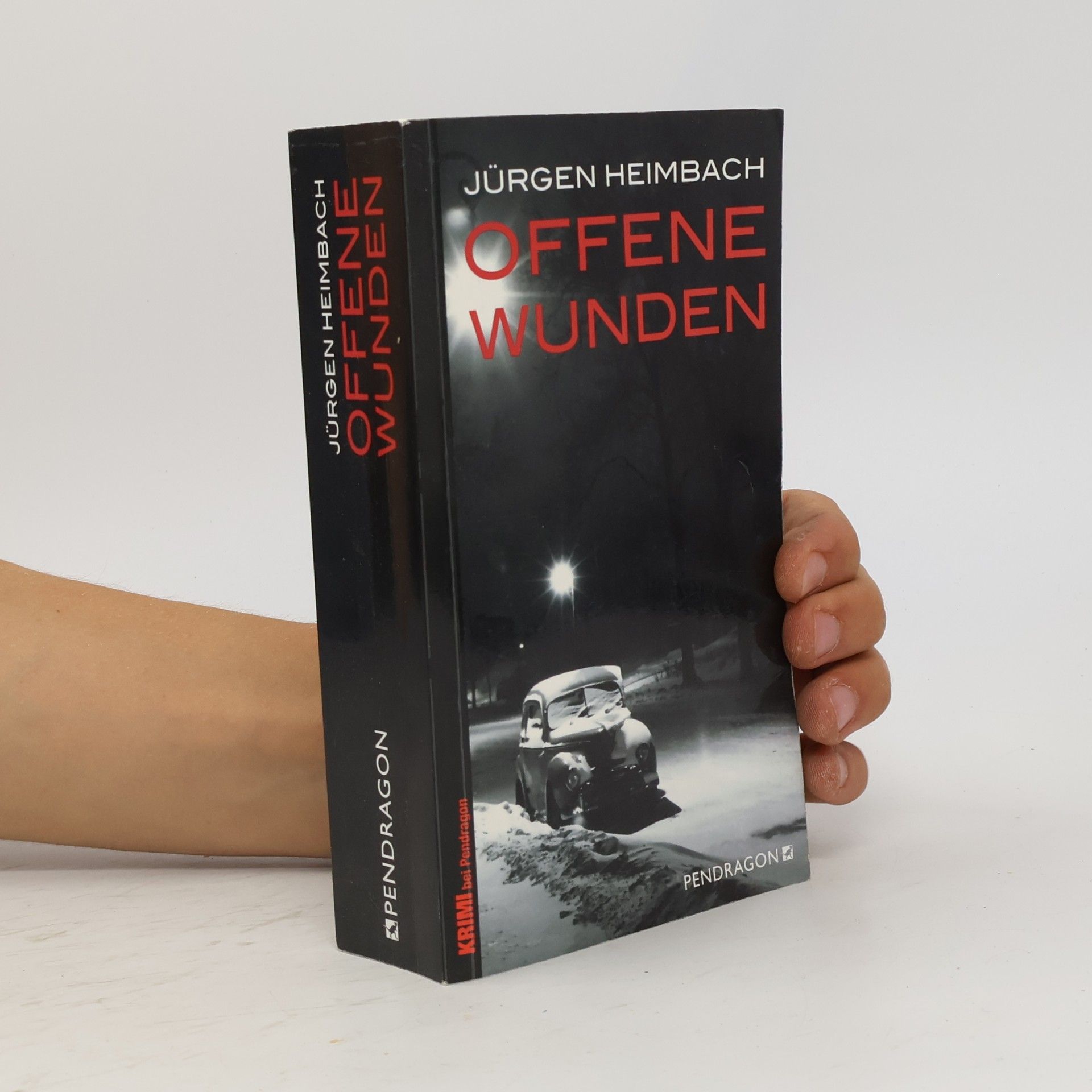 Kommissar Paul Koch ermittelt - 3: Offene Wunden