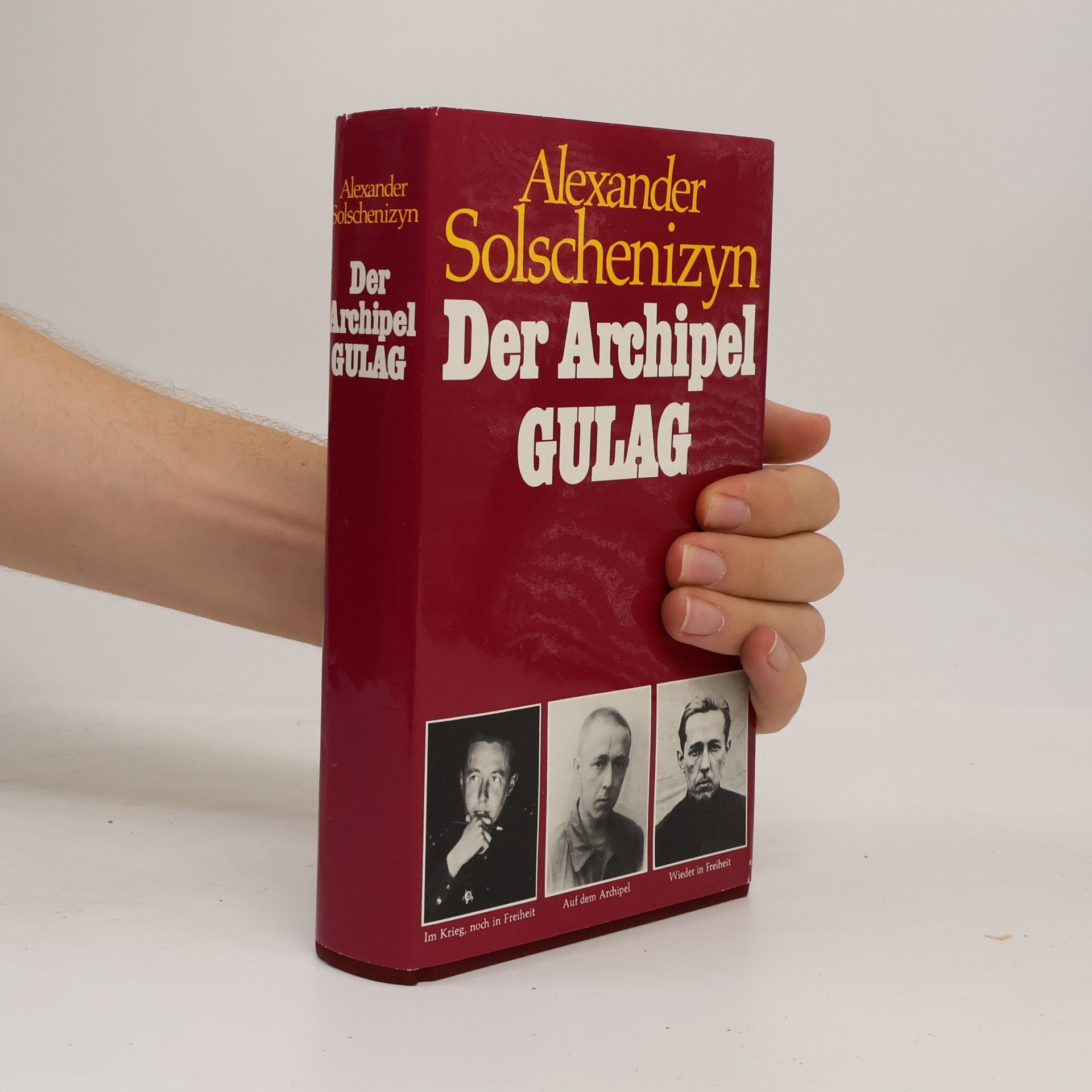 Aleksandr Solzhenitsyn Der Archipel Gulag