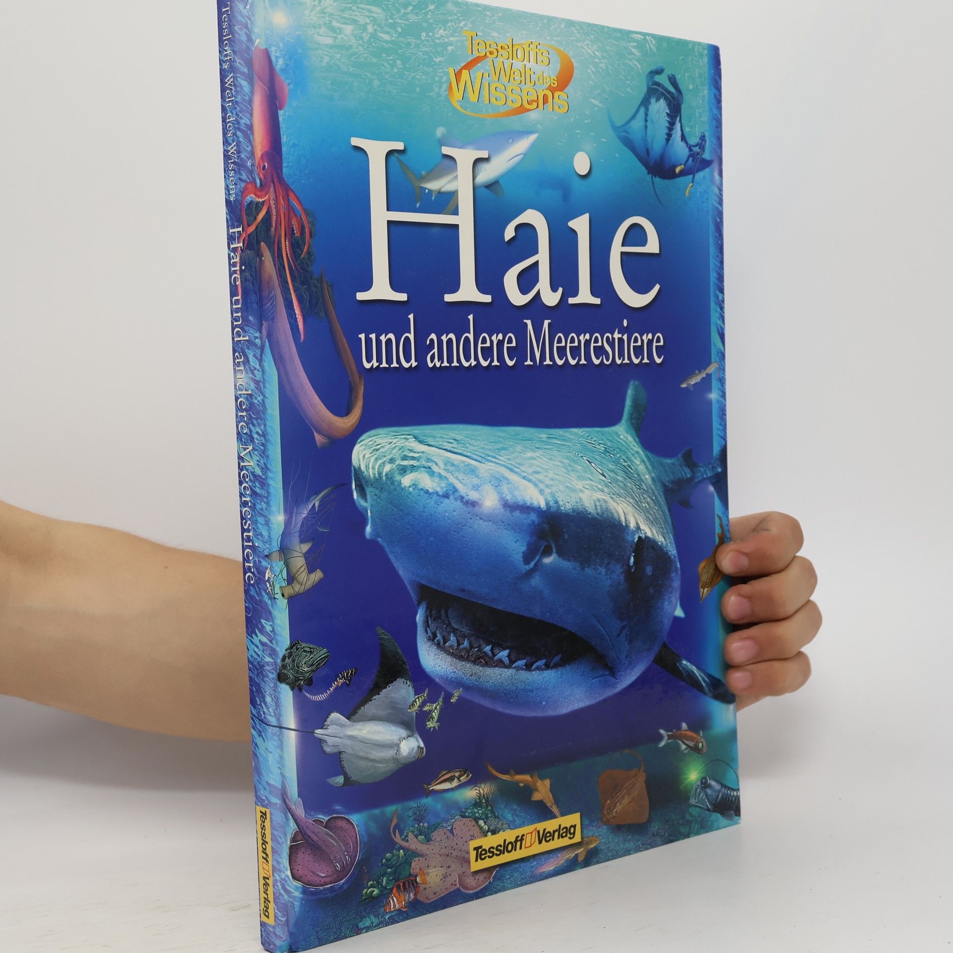 Leighton R. Taylor Haie und andere Meerestiere