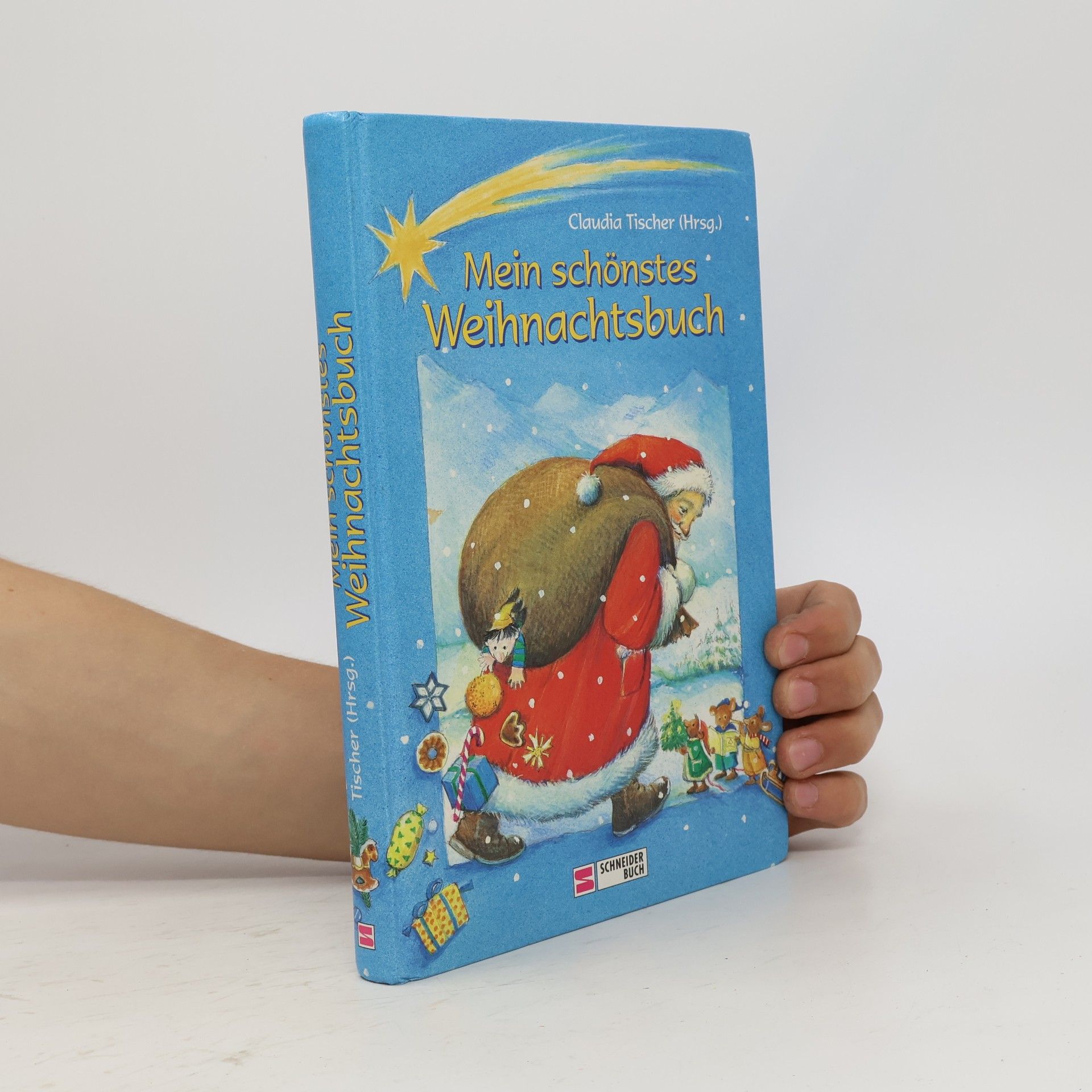 Mein schönstes Weihnachtsbuch