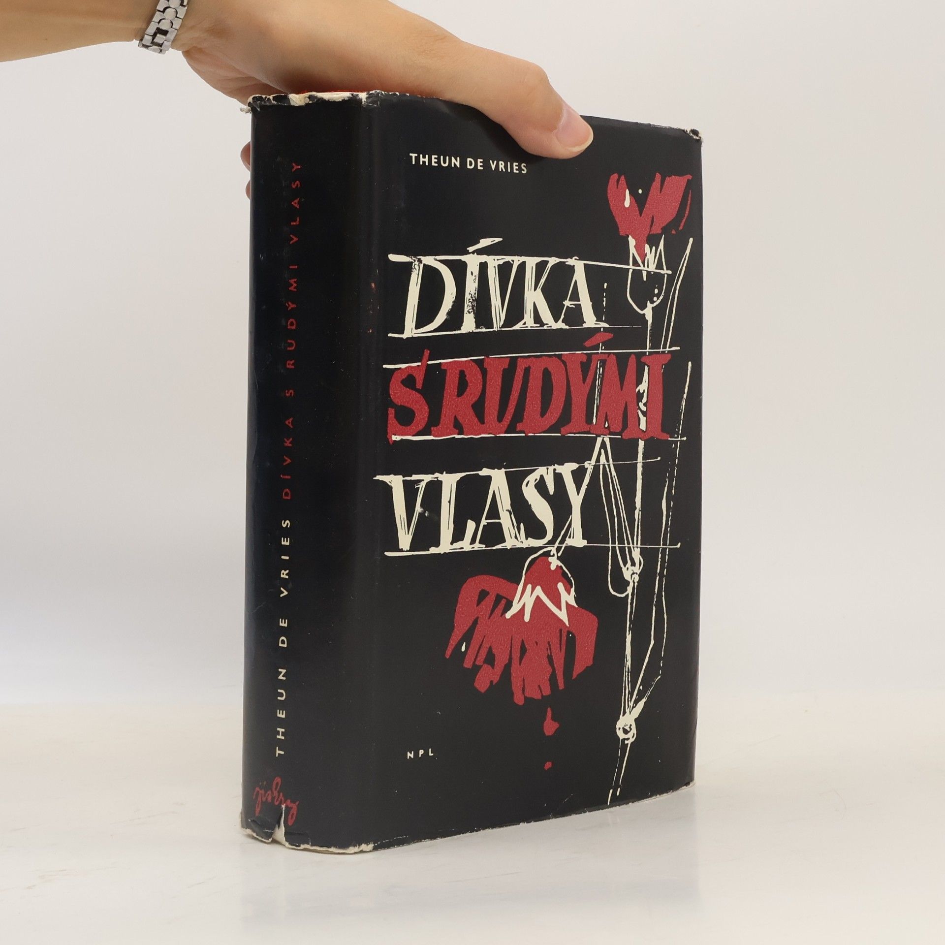 Theun de Vries Dívka s rudými vlasy